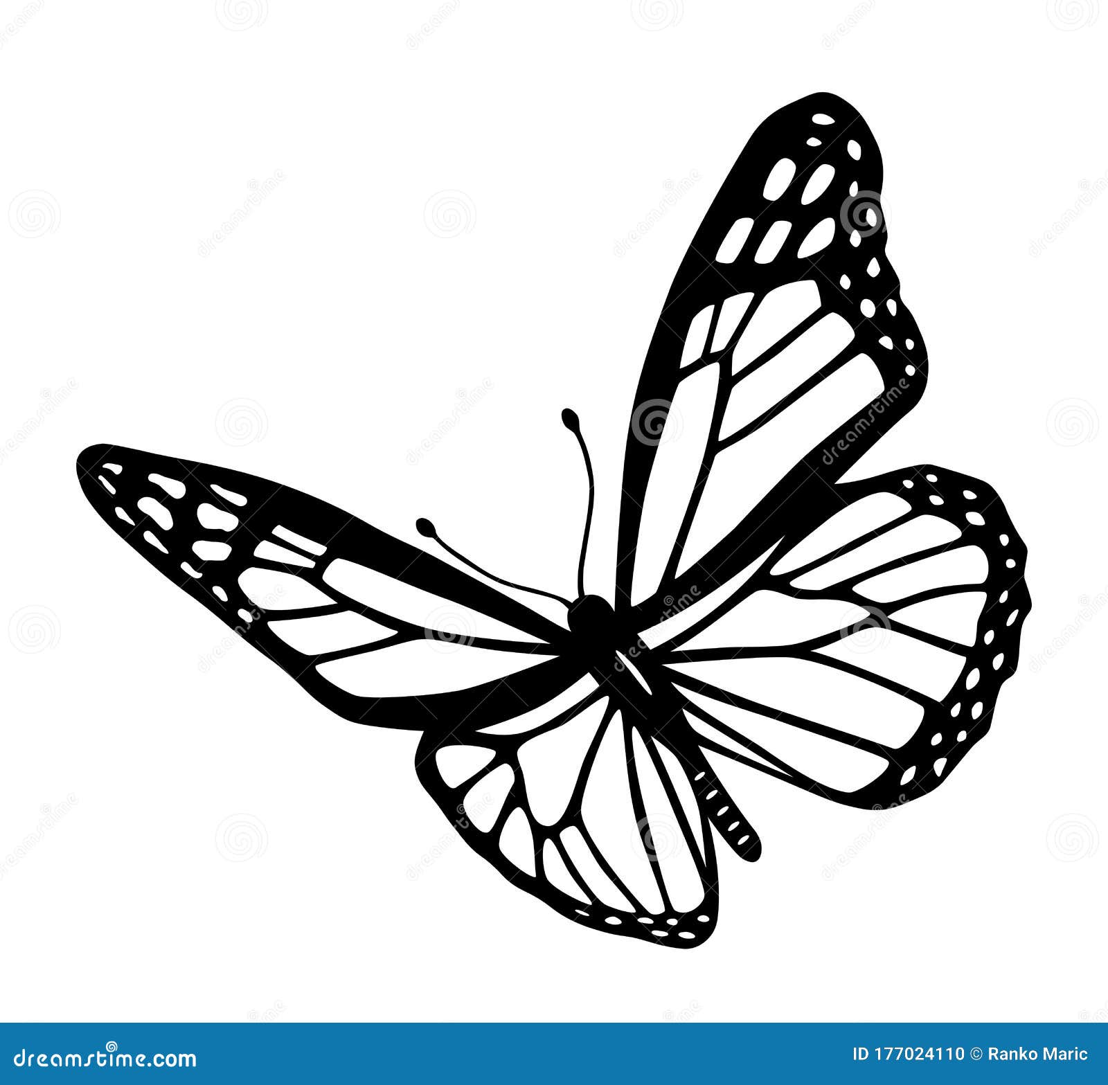 Black White Butterfly Stock Illustrations – 47,230 Black White Butterfly  Stock Illustrations, Vectors & Clipart - Dreamstime