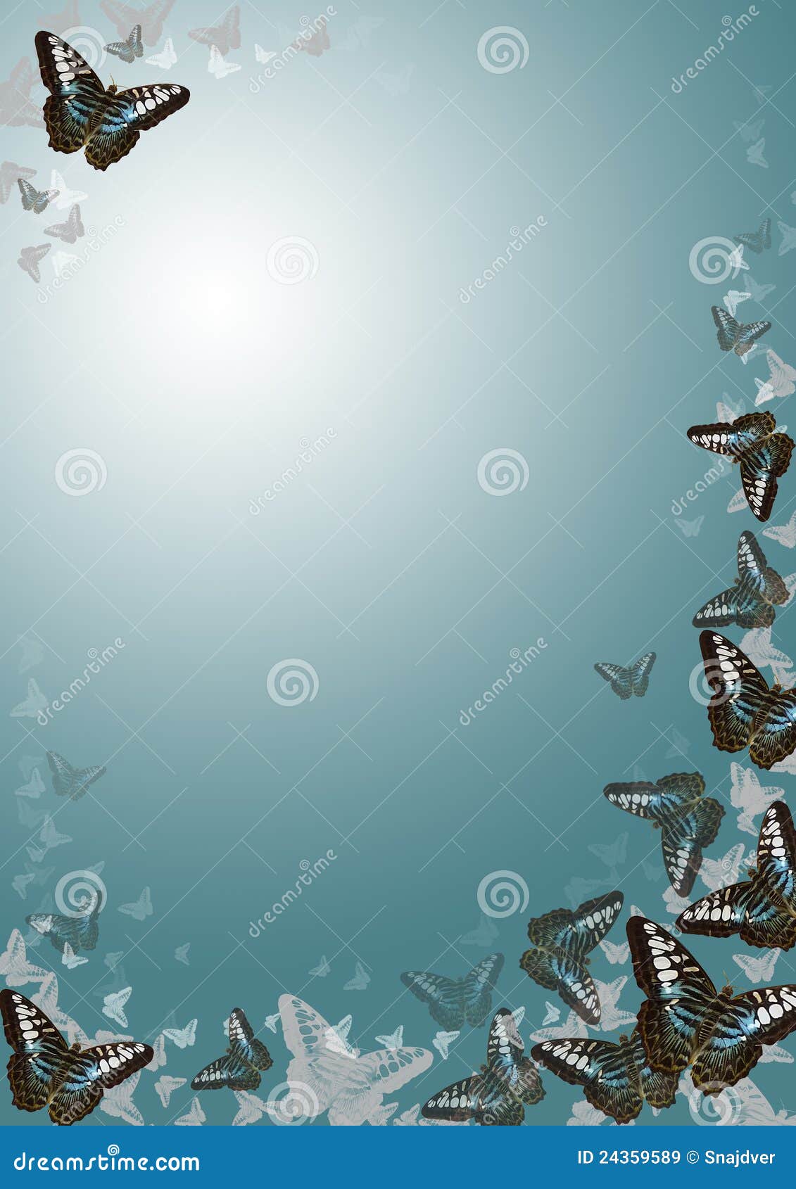 Blue Butterfly Border Designs