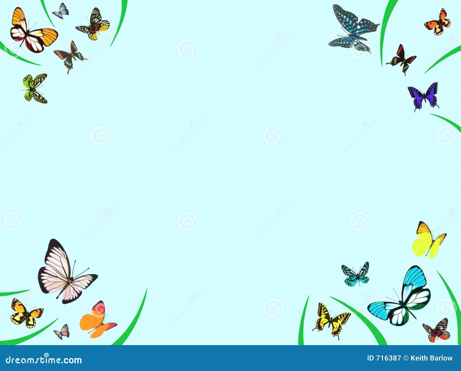 Butterfly Border Royalty Free Stock Photography - Image: 716387