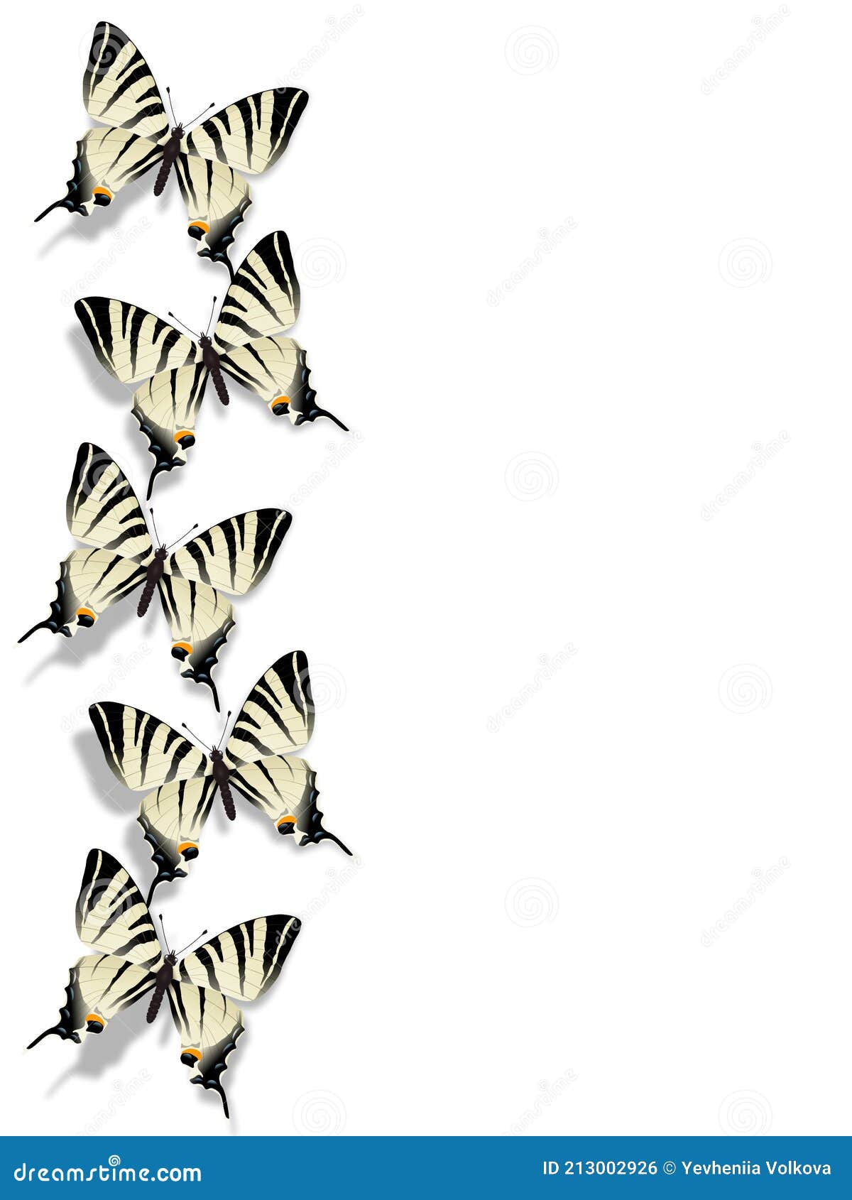 butterfly border. butterfly frame. iphiclides podalirius