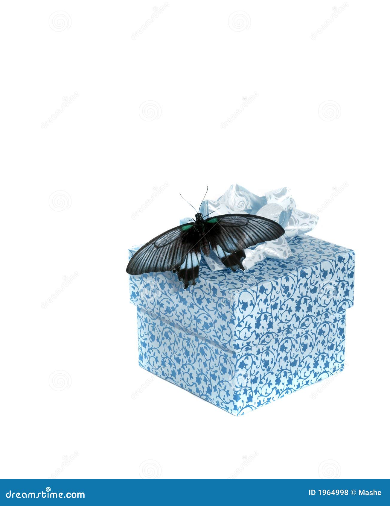 The butterfly on a box stock photo. Image of holiday, present 1964998