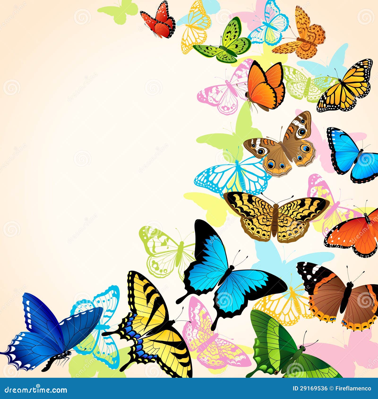 Butterfly card stock vector. Illustration of card, insect 29169536