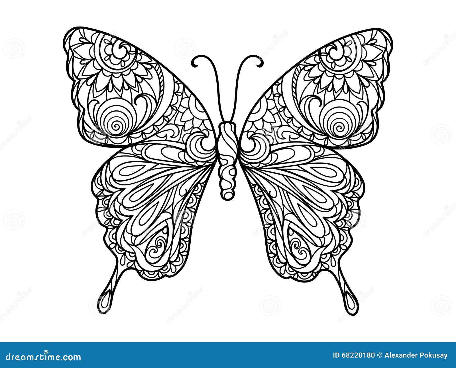 Butterfly coloring book for adults vector