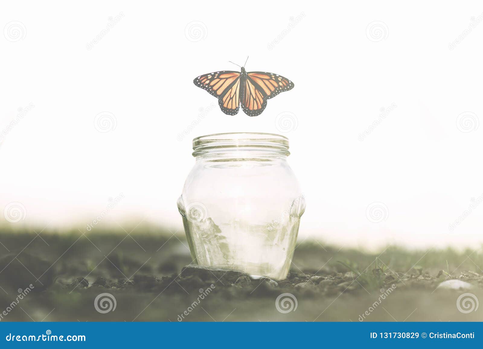 butterfly flies away fast from the glass jar in which she was trapped