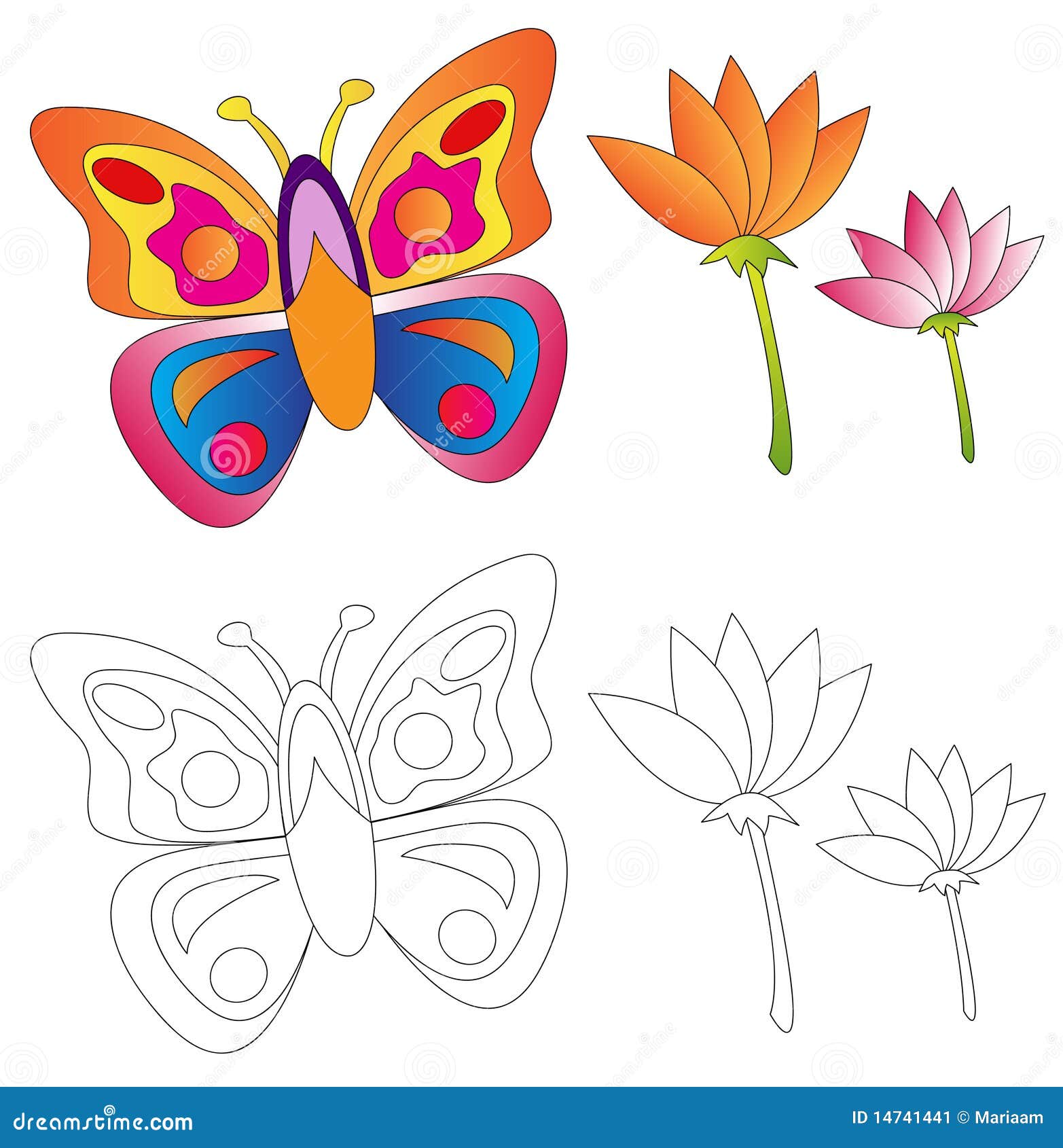 Butterfly & flowers coloring book