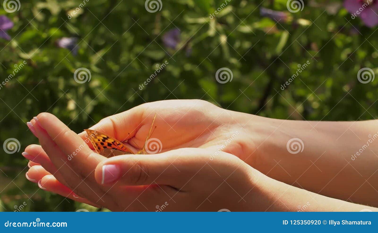 Butterfly Flying Away From Hands