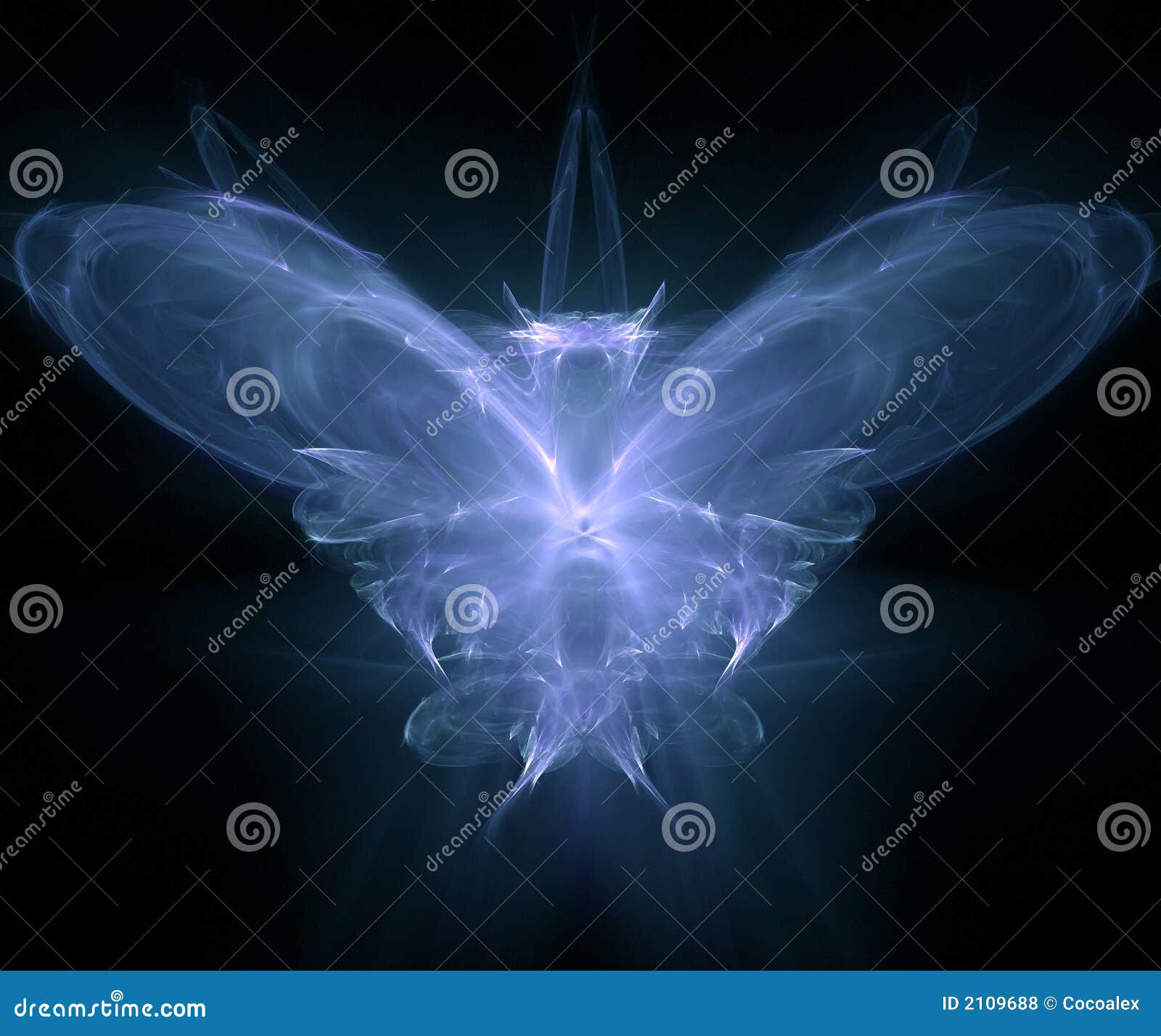 butterfly - fractal generated