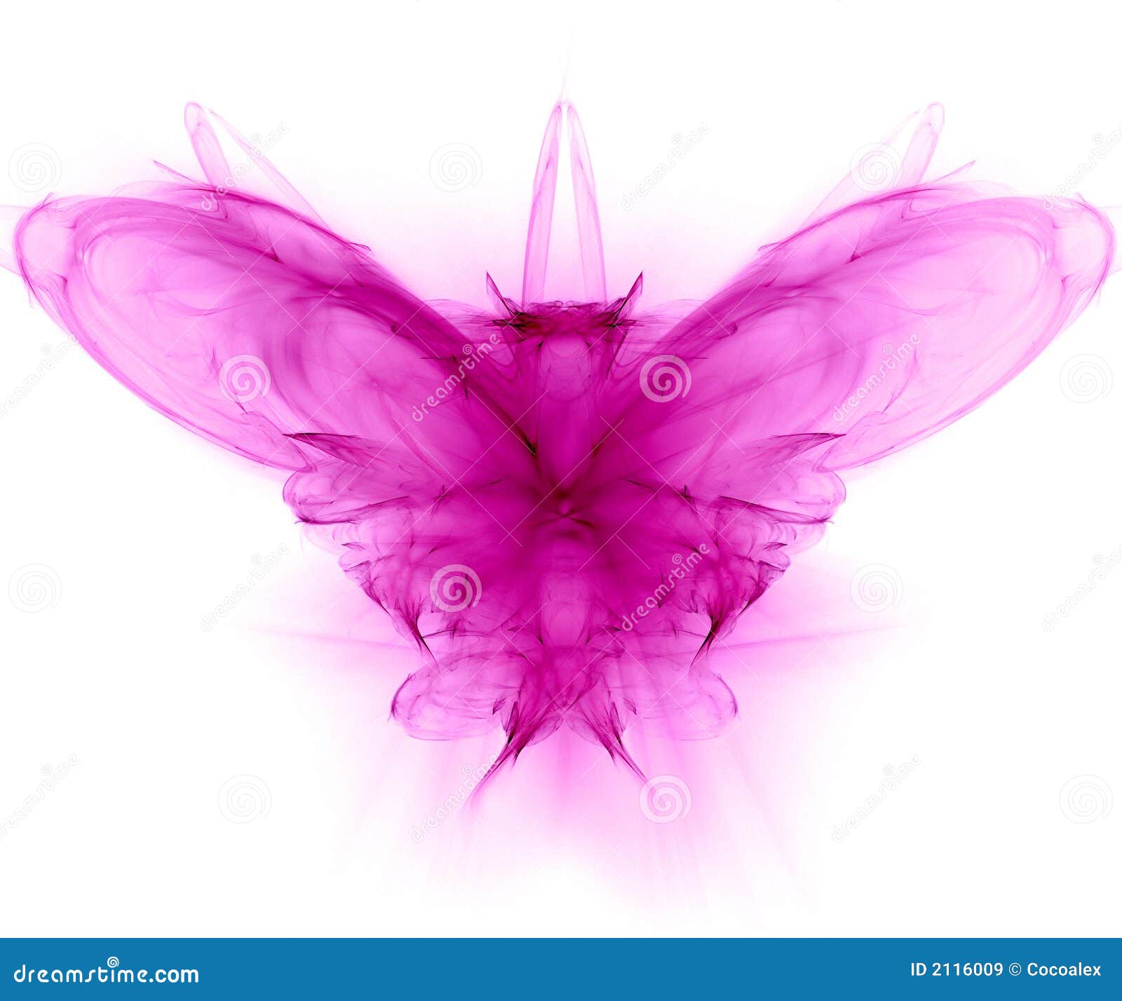 butterfly - fractal generated