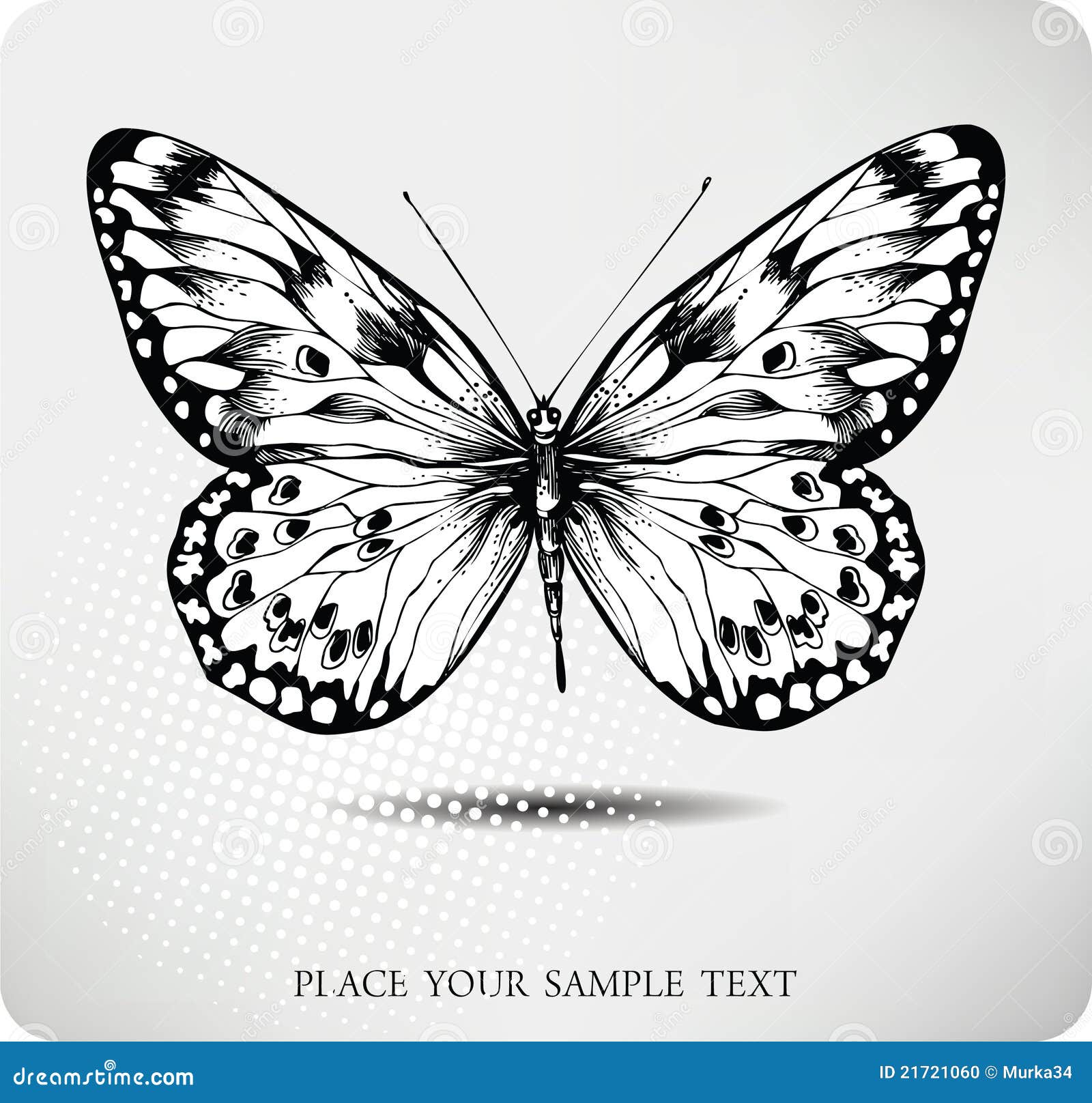 Butterfly Hand Drawing Vector CartoonDealer Com 21721046   Butterfly Hand Drawing Vector 21721060 