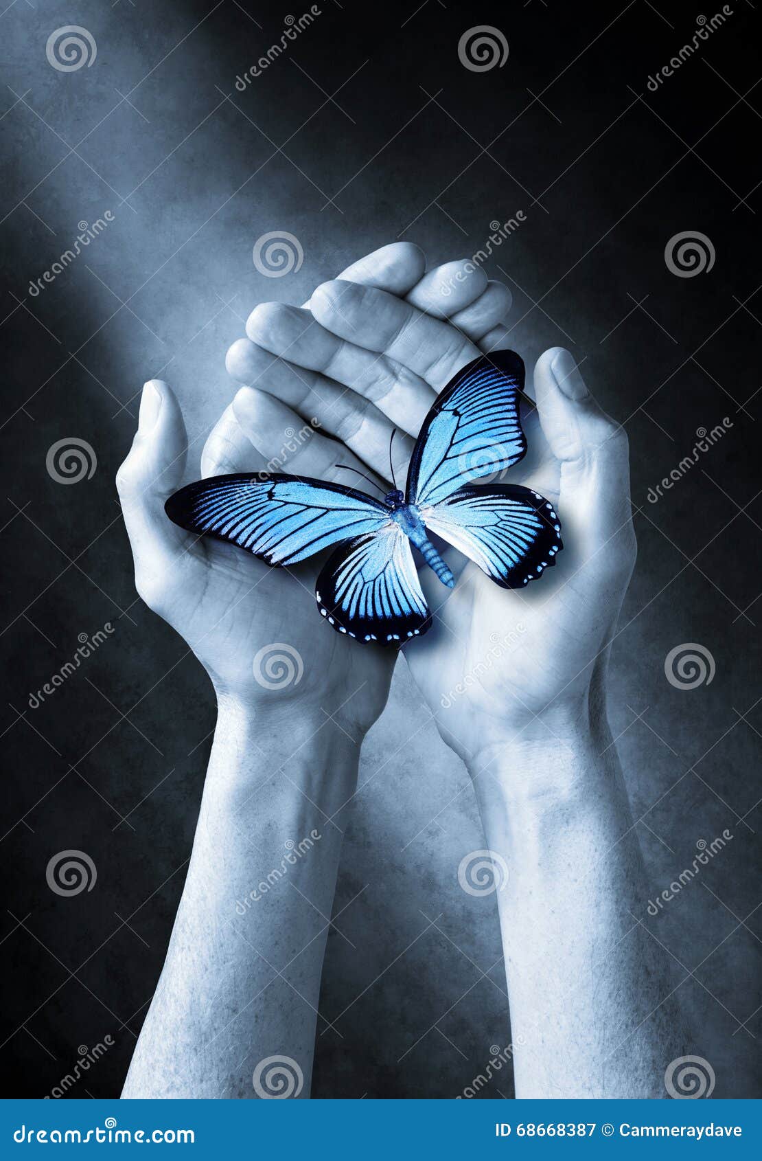 Butterfly Hands Life Love Spirituality Stock Image - Image of ...