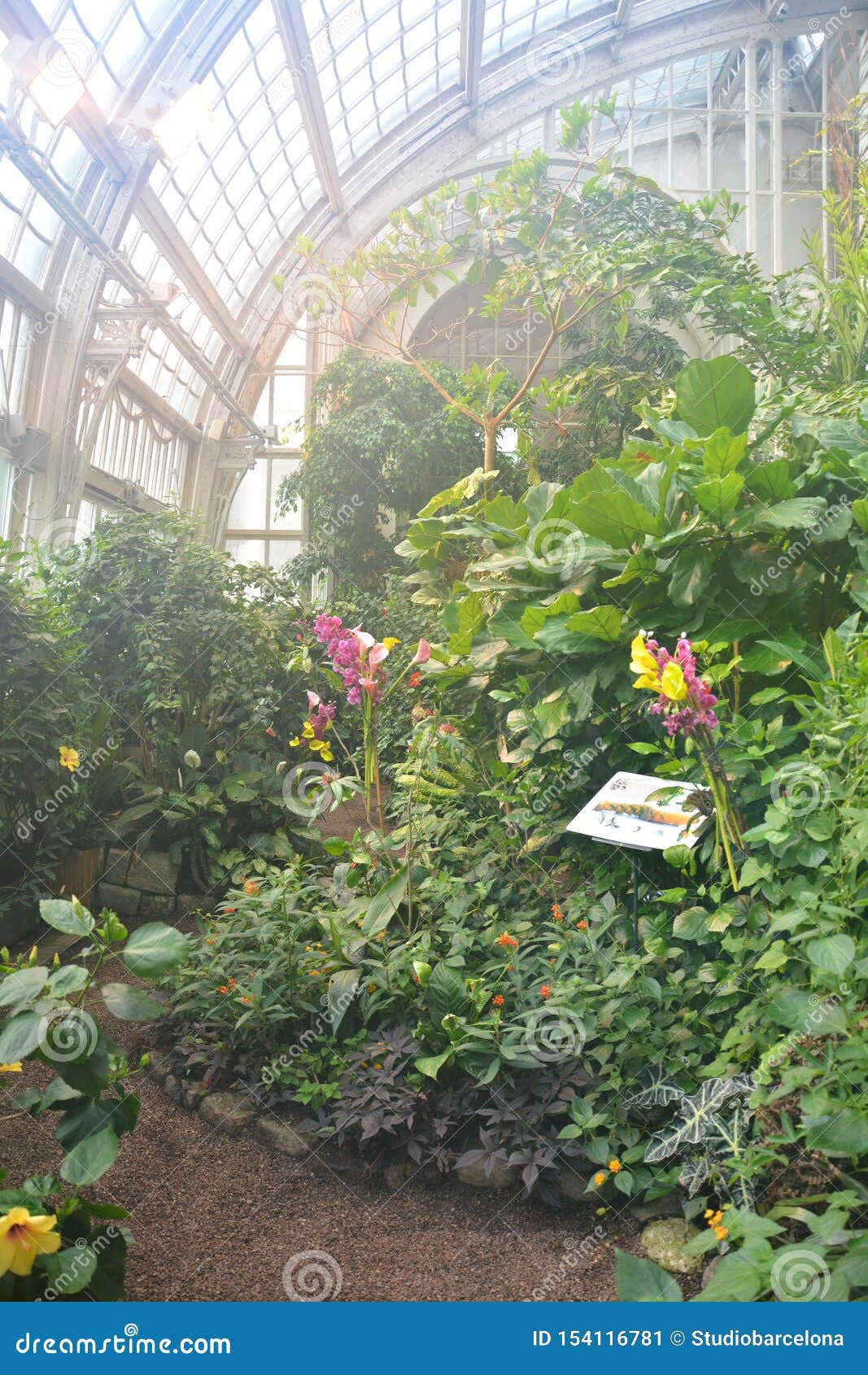 Butterfly house in Vienna stock image. Image of wien 154116781