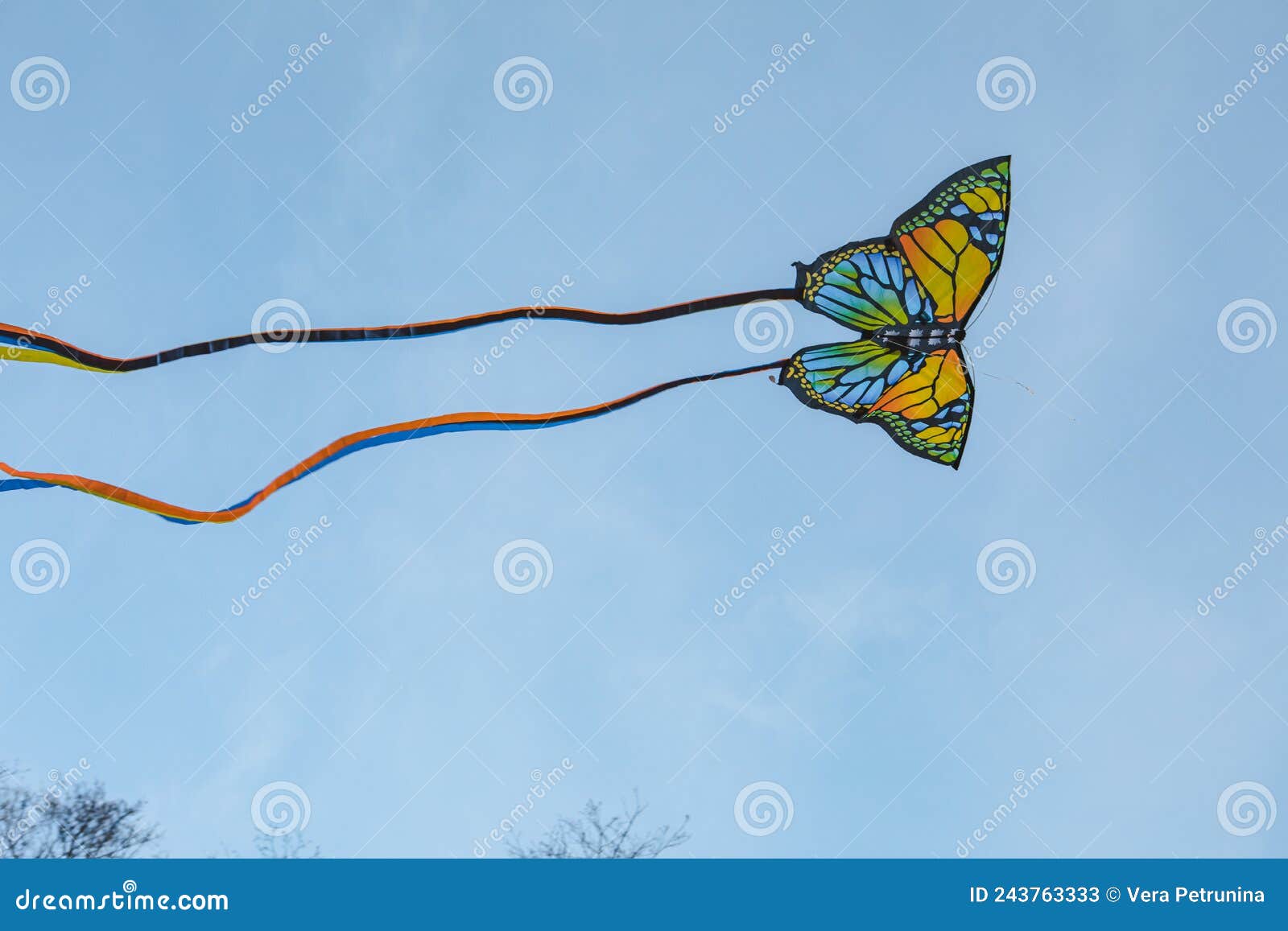 Butterfly kite in sky stock image. Image of outdoors 243763333