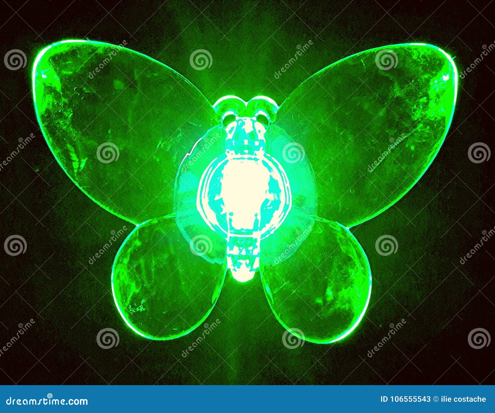Butterfly green stock image. Image of green, light, butterfly 106555543