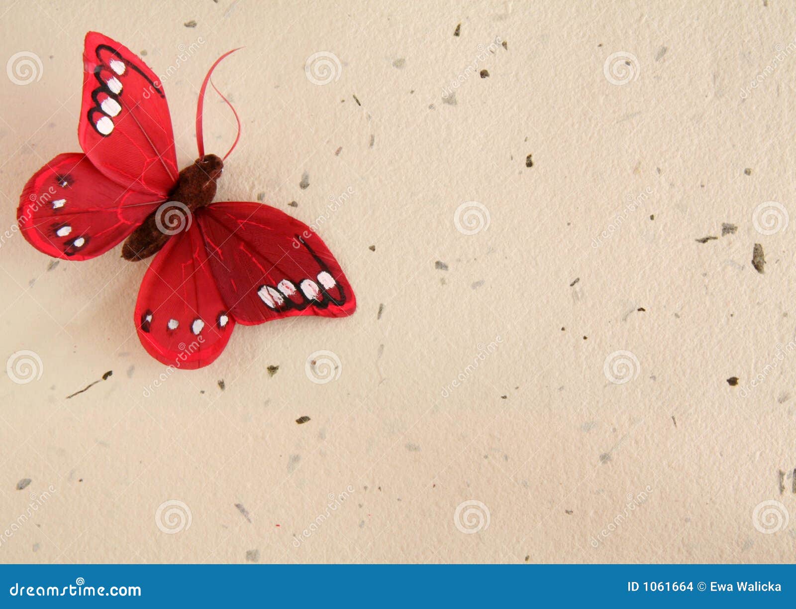 Fake Butterflies Stock Photos - Free & Royalty-Free Stock Photos from  Dreamstime