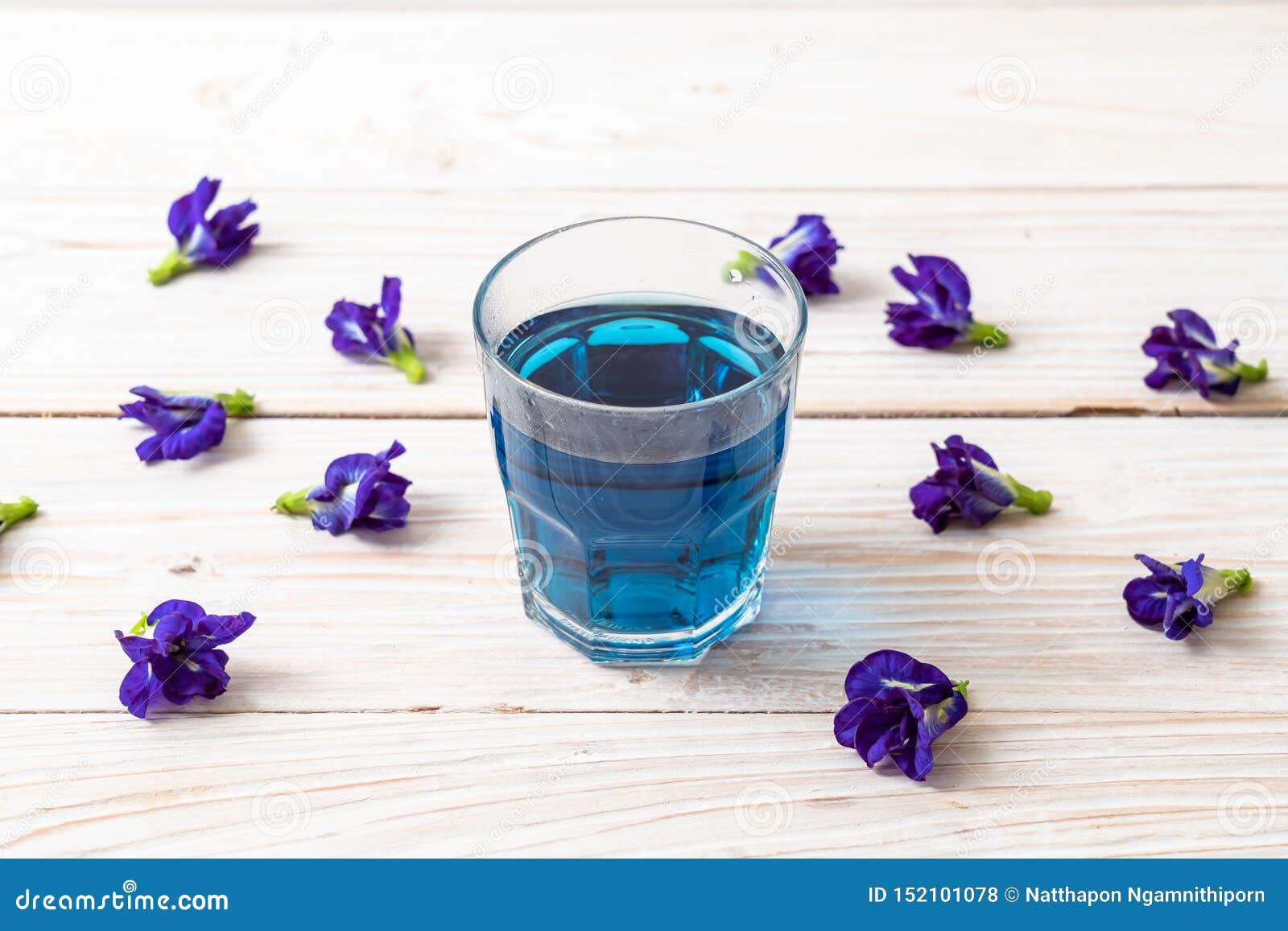 Butterfly pea juice stock photo. Image of floral, nature 152101078