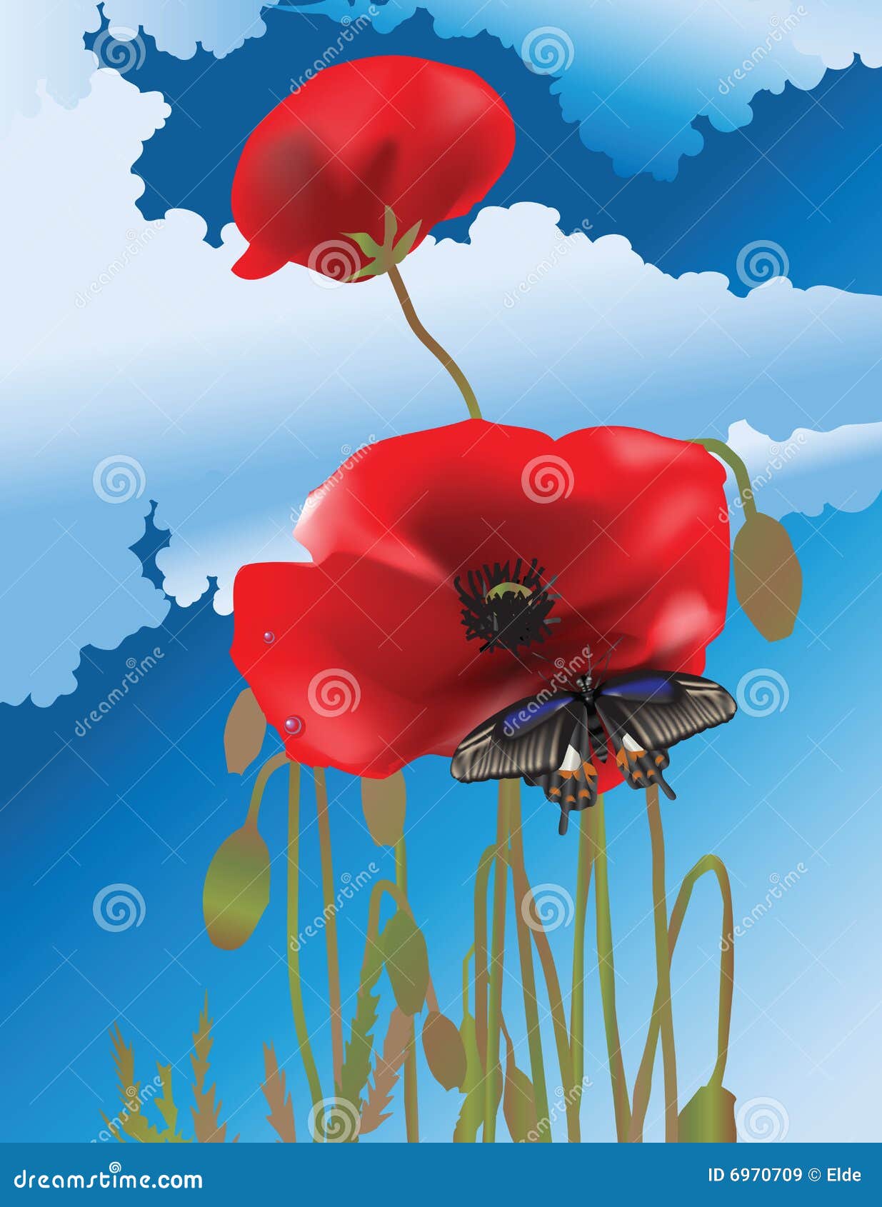 Butterfly and poppies stock vector. Illustration of ecology 6970709