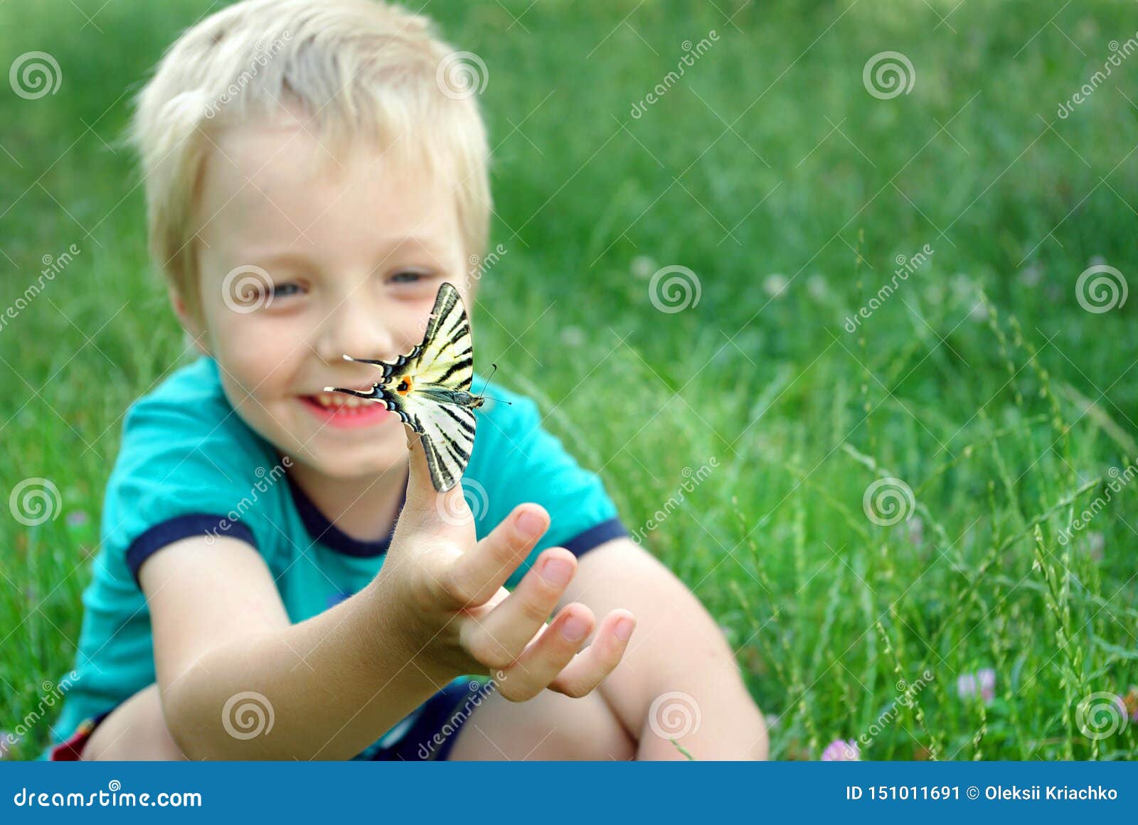 Butterfly Sitting on the Hand of a Child. Child with a Butterfly