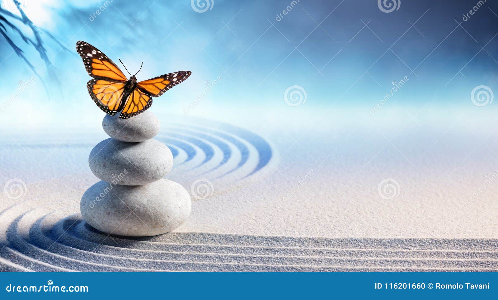 butterfly on spa massage stones
