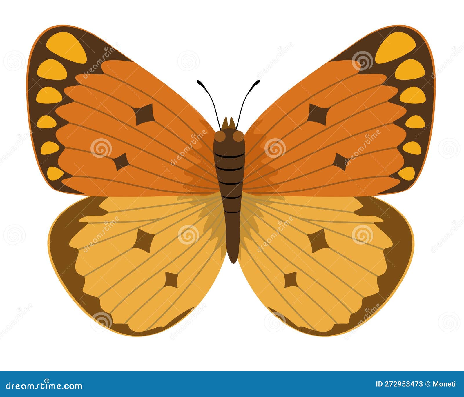Butterfly Vector. Yellow and Orange Sand Tones Butterfly Isolated