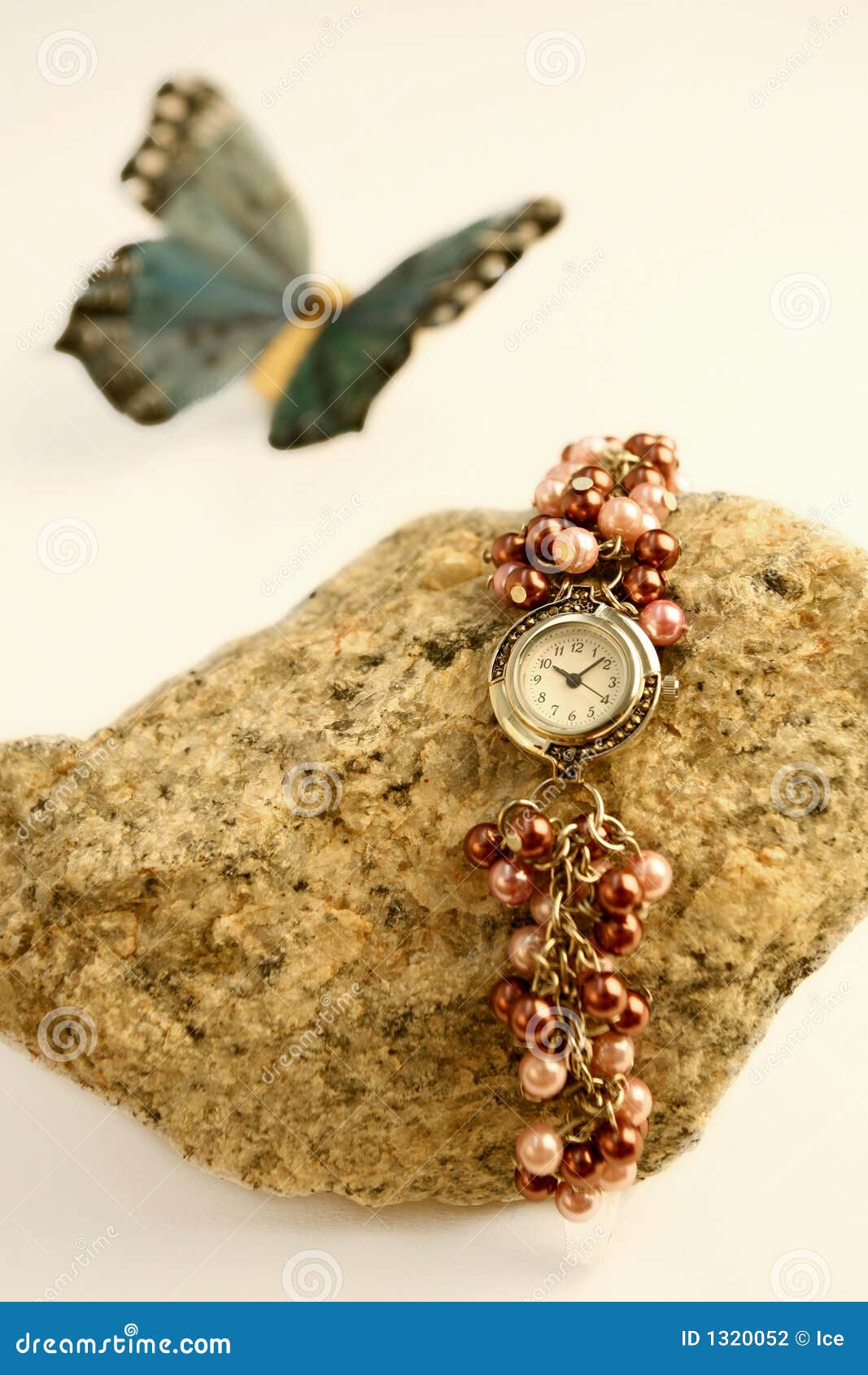 Butterfly Watch stock photo. Image of texture, light, rock 1320052