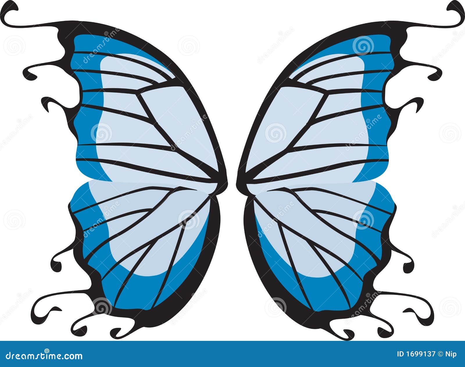 Butterfly Wings Stock Vector Illustration Of Animal Veins 1699137