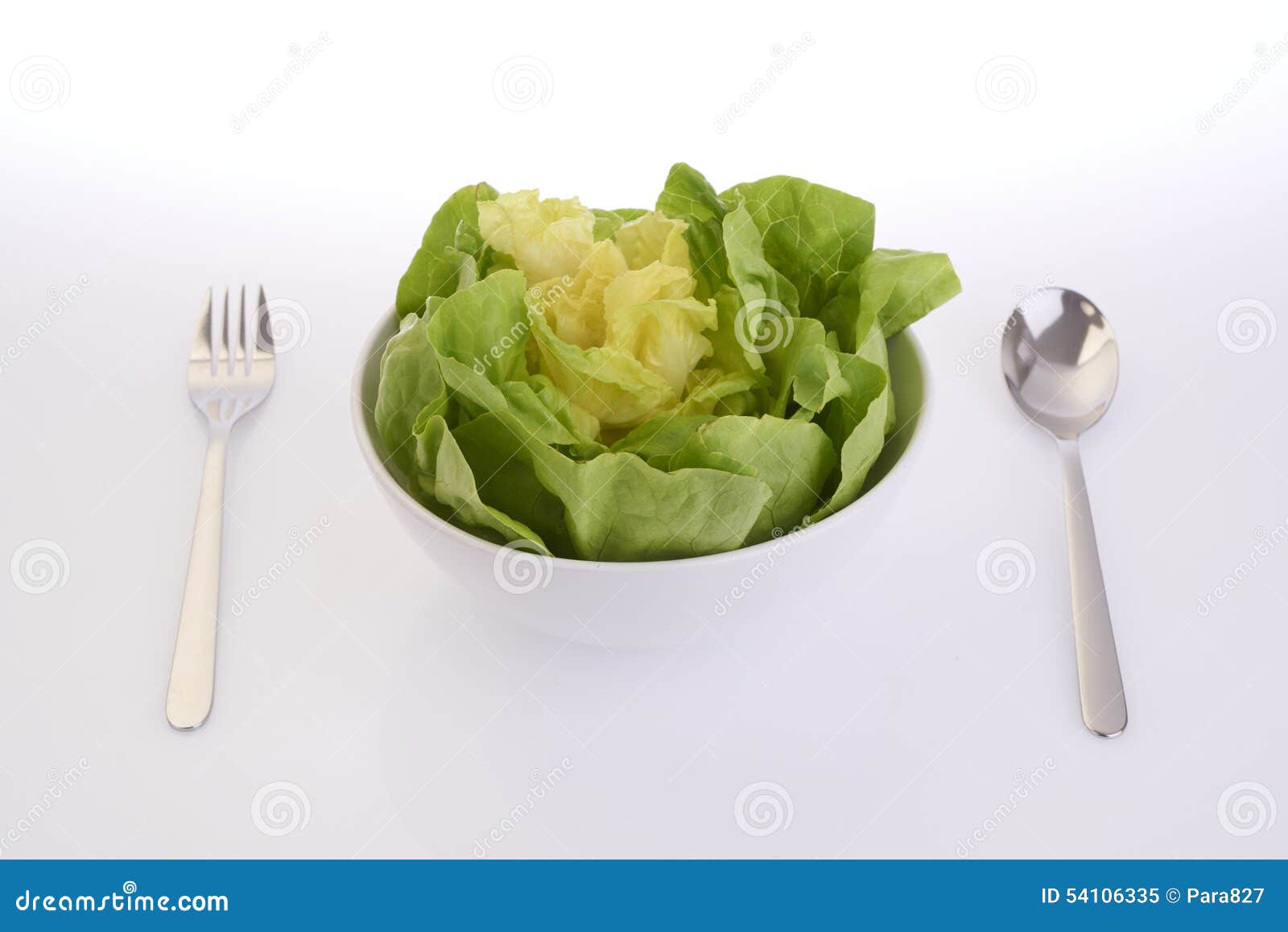 Butterhead stock image. Image of green, isolated, wooden 54106335