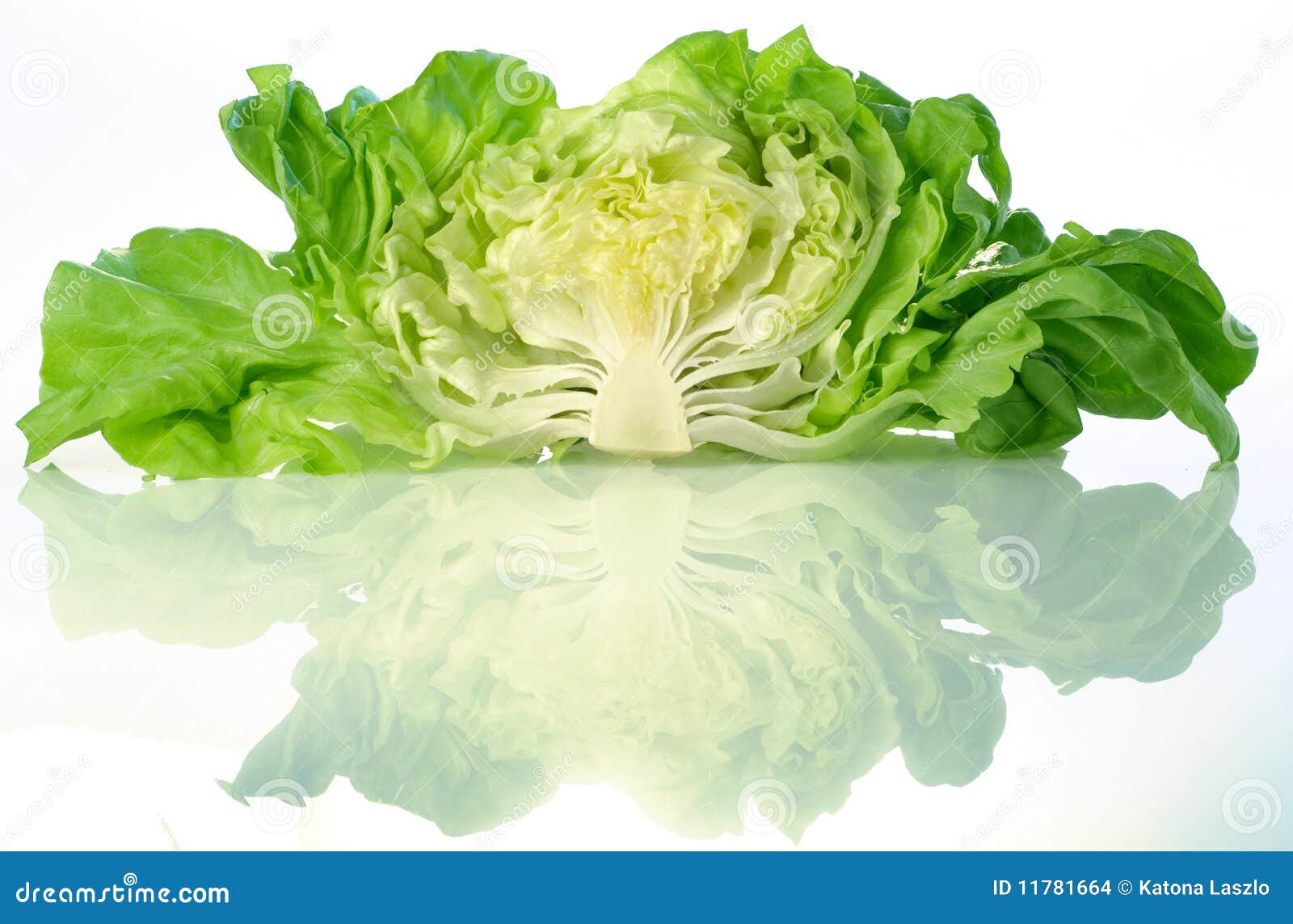 Butterhead lettuce stock photo. Image of green, nutrition 11781664