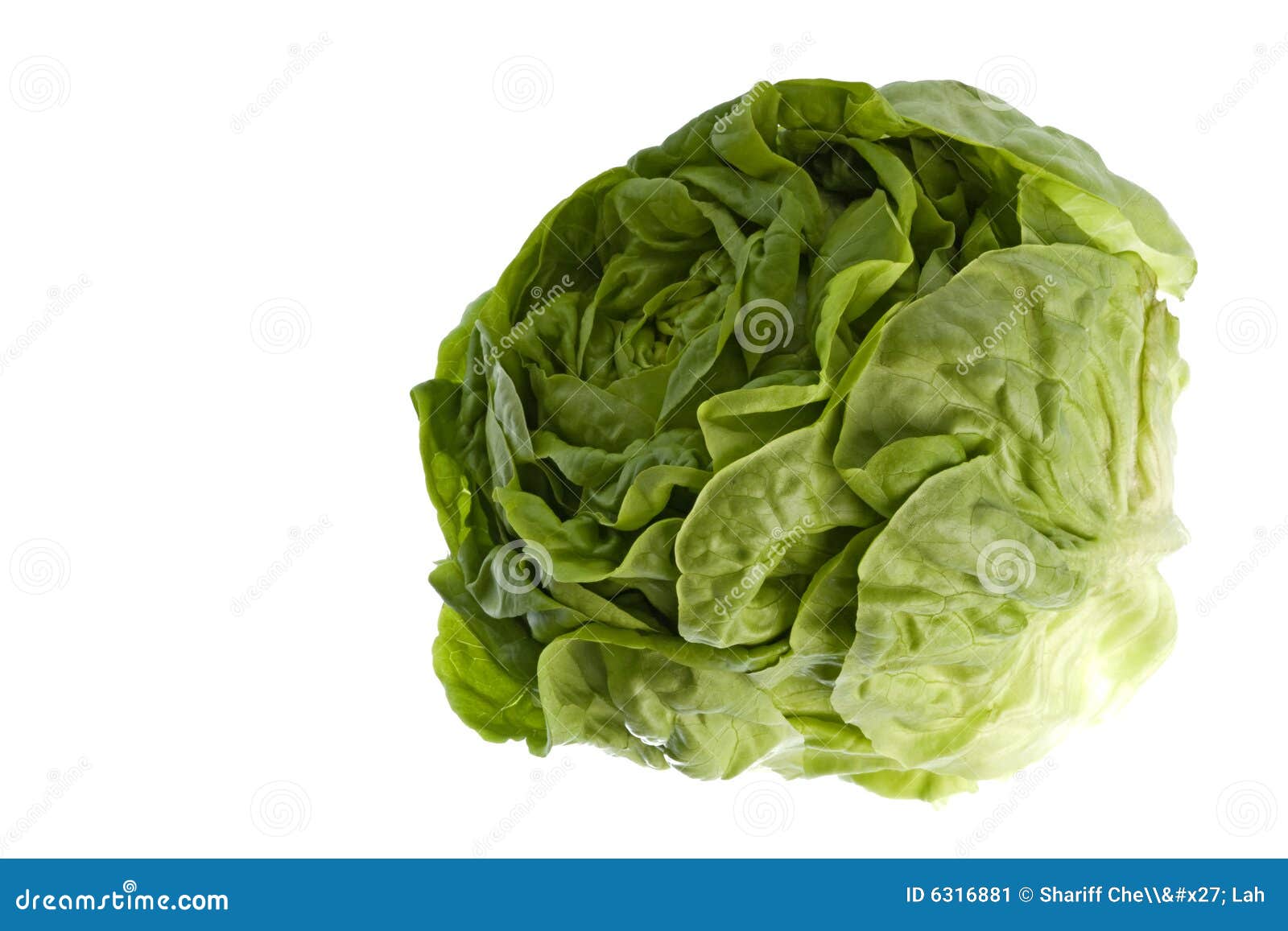 Butterhead Lettuce Isolated Stock Image Image of diet, healthy 6316881