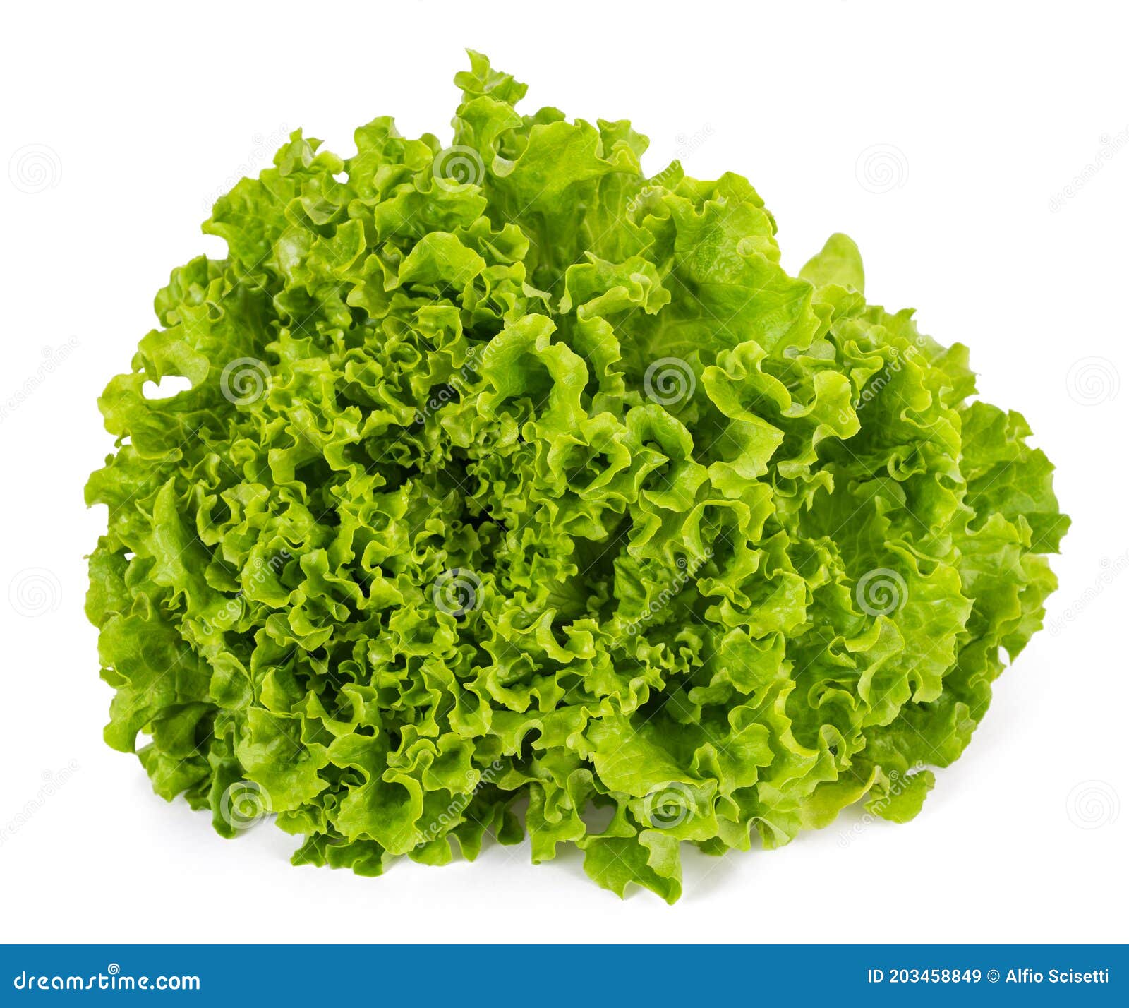 Butterhead lettuce stock image. Image of vegetarian 203458849