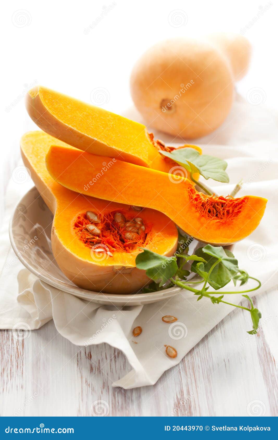 Butternut squash stock photo. Image of selective, diet 20443970