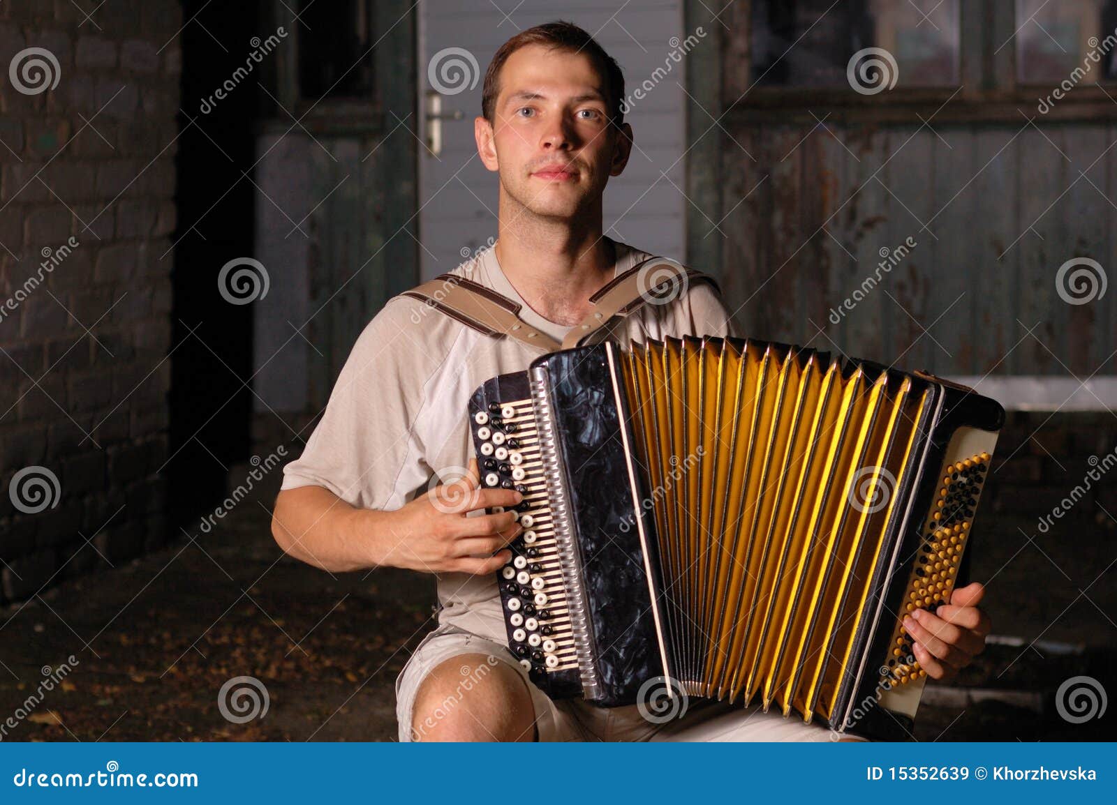 Button Accordion Playing Evening Serenade Stock Image Image of night