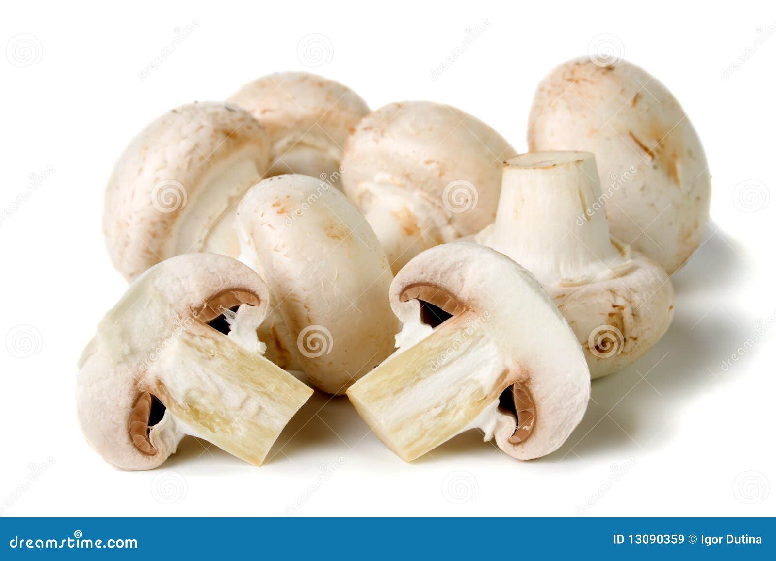 button mushroom  on white