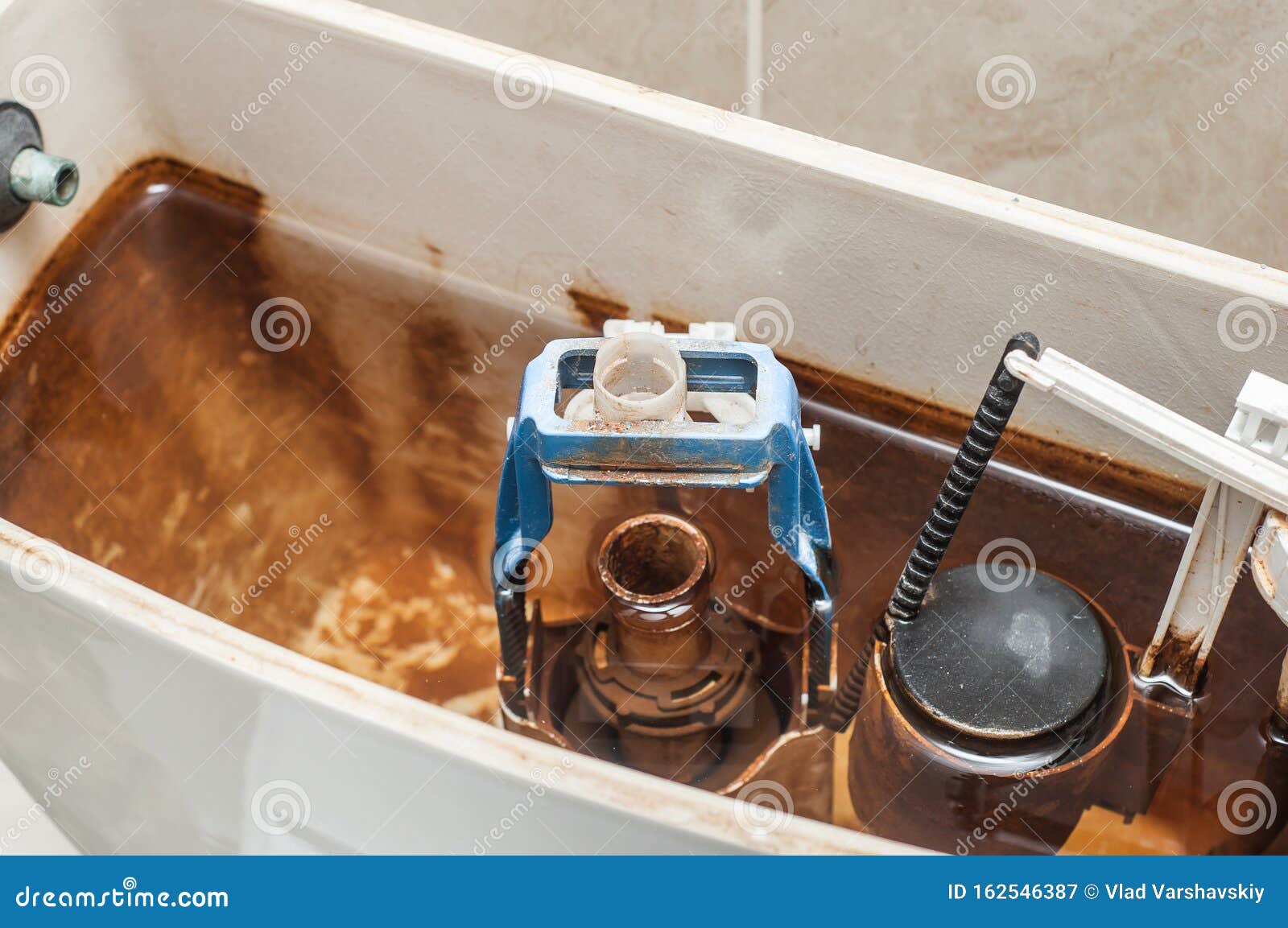 Button To Drain The Water In The Toilet Bowl. Disassembled Mechanism RoyaltyFree Stock Photo
