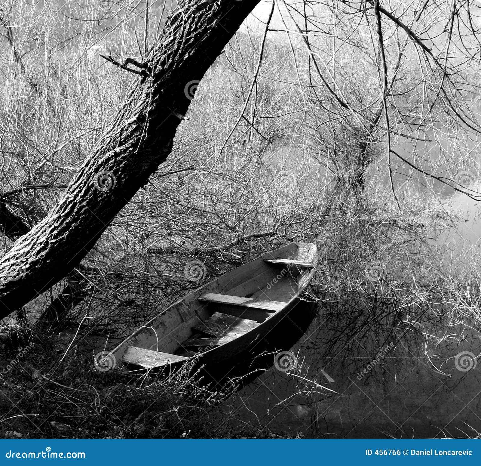 BW Canoe under the tree stock photo. Image of canoes, black 456766
