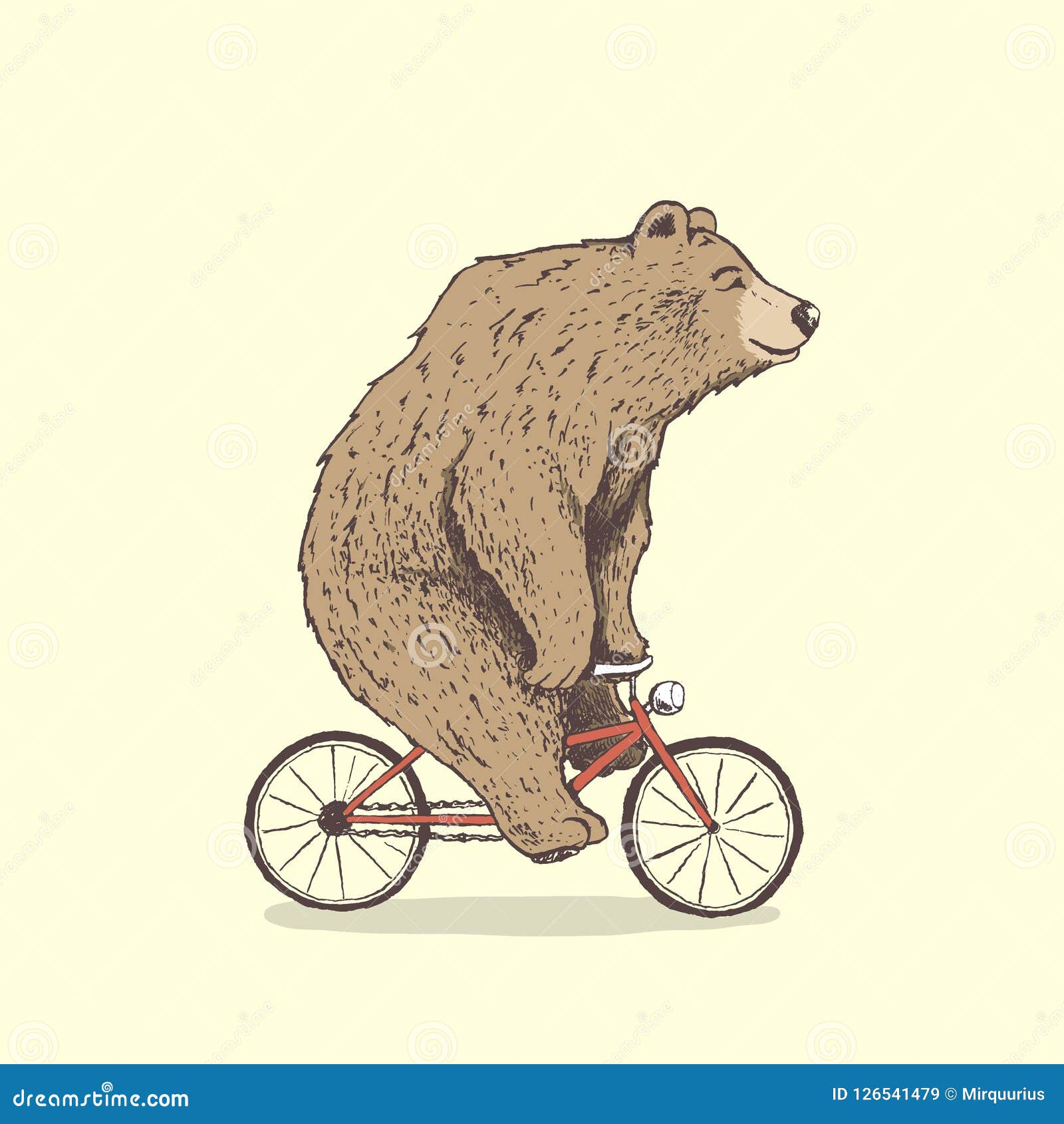 Bär fährt Fahrrad vektor abbildung. Illustration von fahrt