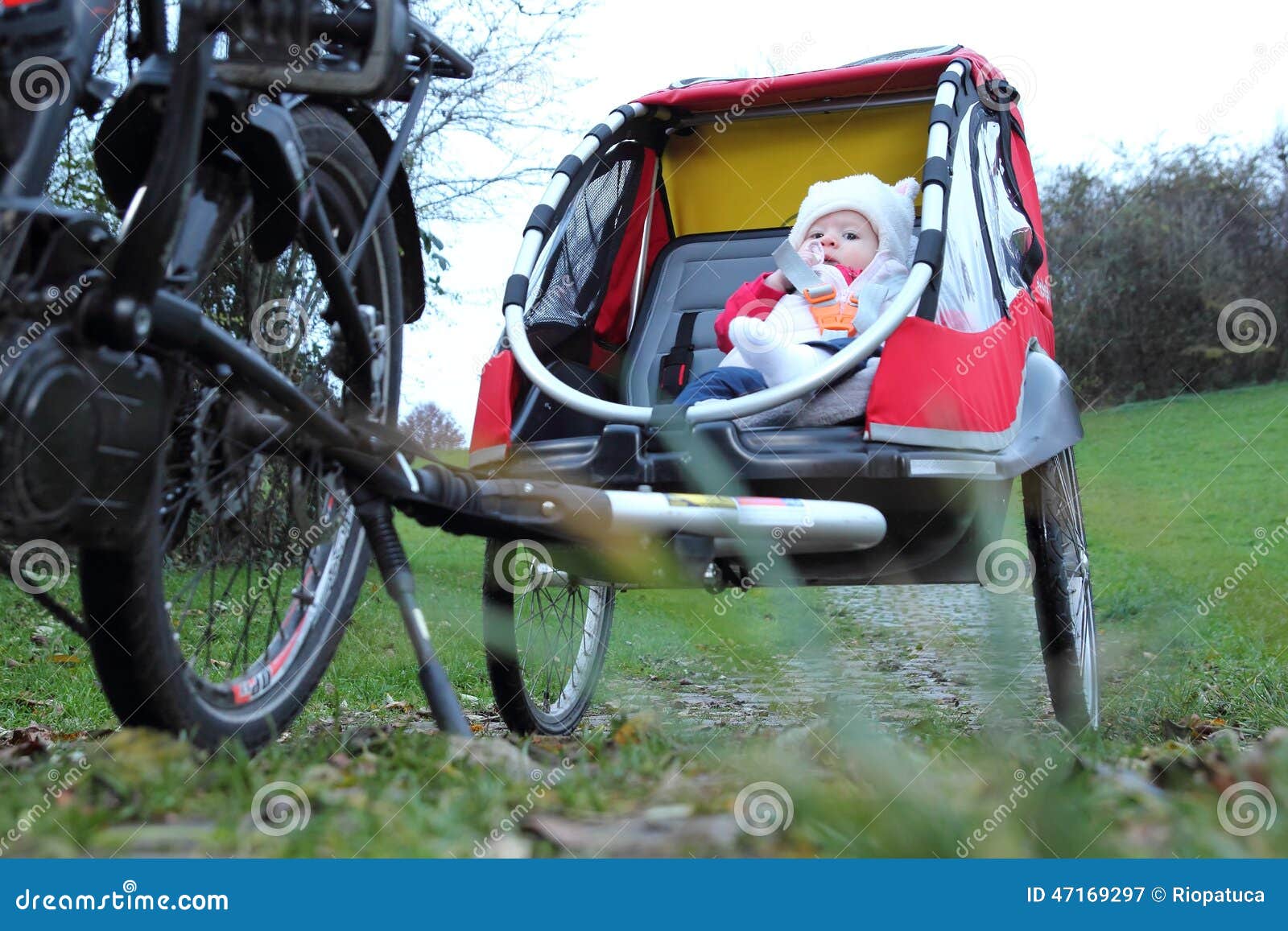 Bébé Dans Une Remorque De Vélo D'enfant Photo stock Image 47169297