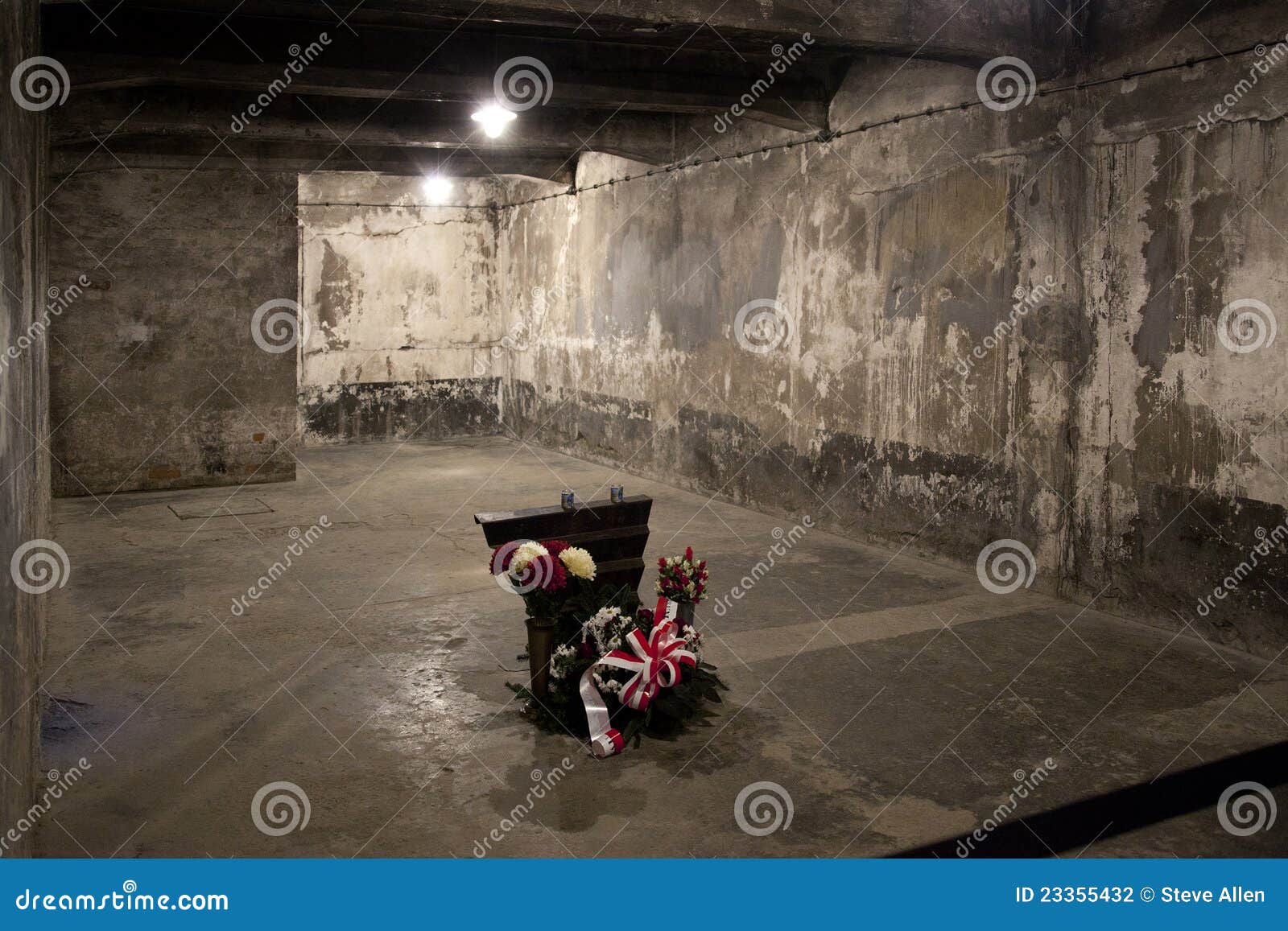 Câmara De Gás De Auschwitz - Polónia Fotografia Editorial - Imagem de  gaseificado, nebulae: 23355432, image size:1600x1157