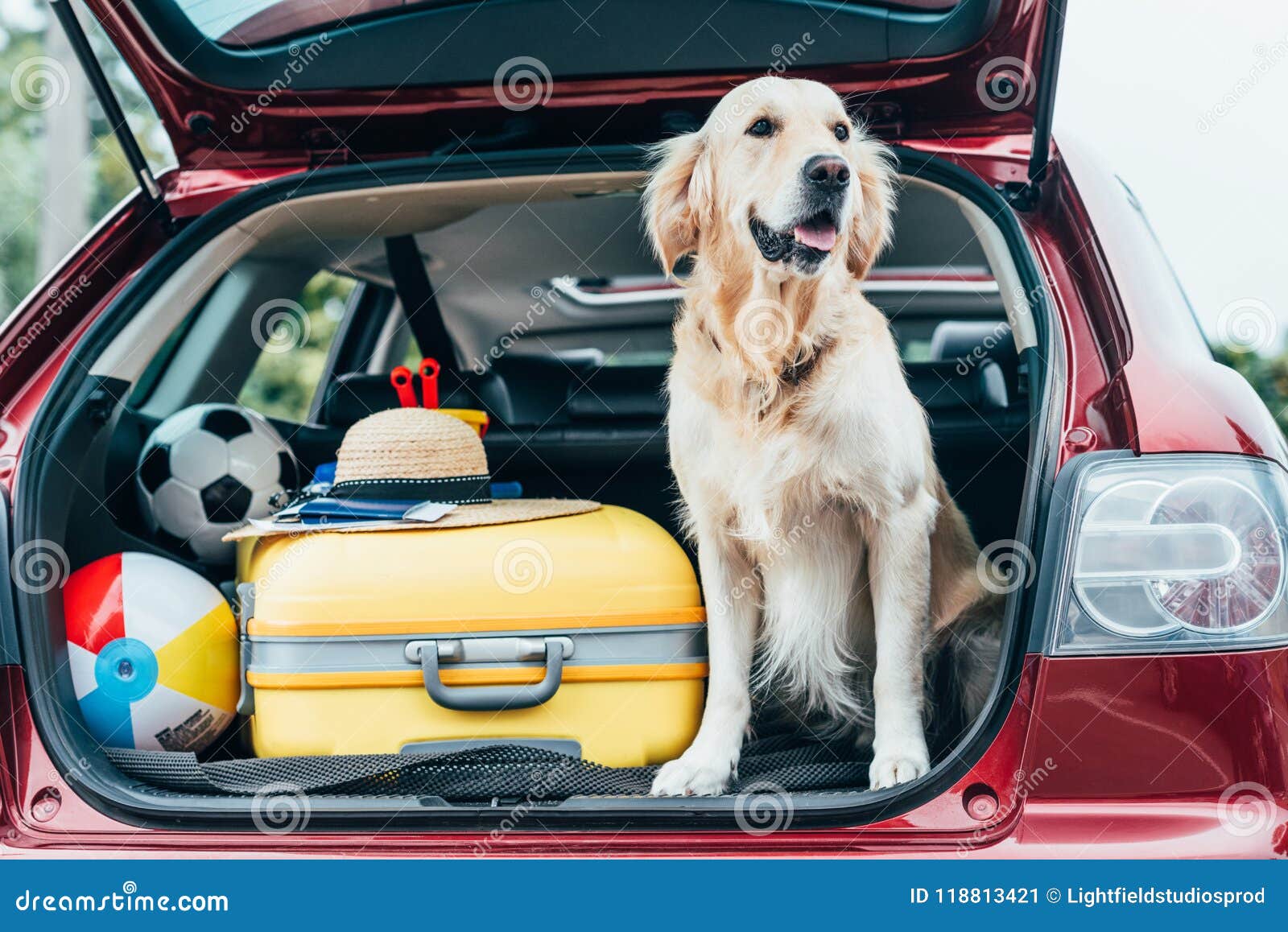 Retrato Em Família Cheia Com Crianças Pequenas Coloca Malas De Bagagem No  Carro Sorrindo Juntos Antes Da Viagem Imagem de Stock - Imagem de grande,  cuidado: 209416853