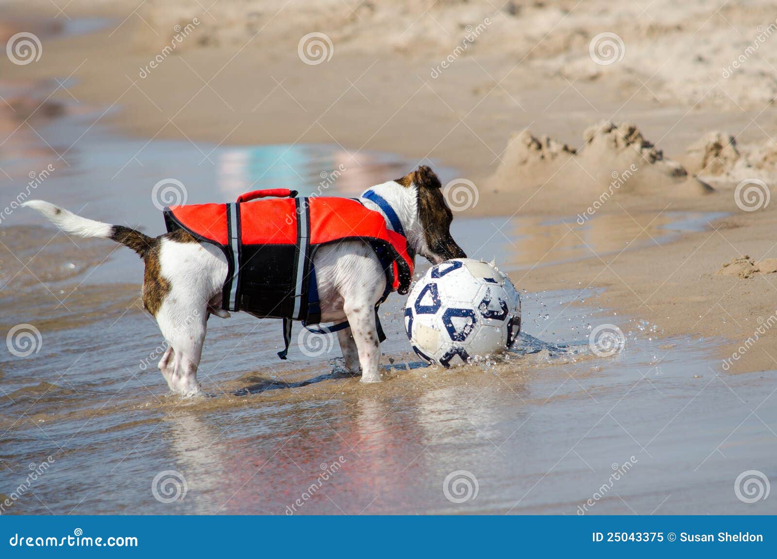 Jogador De Futebol De Praia Em Ação. Ensolarado Praia Grande Ângulo E Mar  Foto Royalty Free, Gravuras, Imagens e Banco de fotografias. Image 109818192