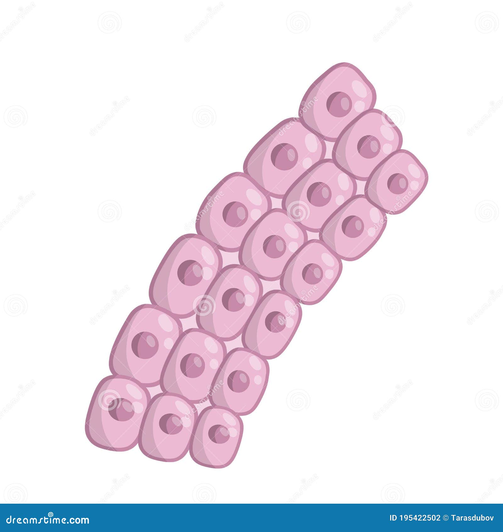 Una Imagen De Un Conjunto Organismo Microscópico Ilustraciones Svg Vectoriales Clip Art Vectorizado Libre De Derechos Image 15817210 #30 Una Imagen De Un Conjunto Organismo Microscópico Ilustraciones Svg Vectoriales Clip Art Vectorizado Libre De Derechos Image 15817210