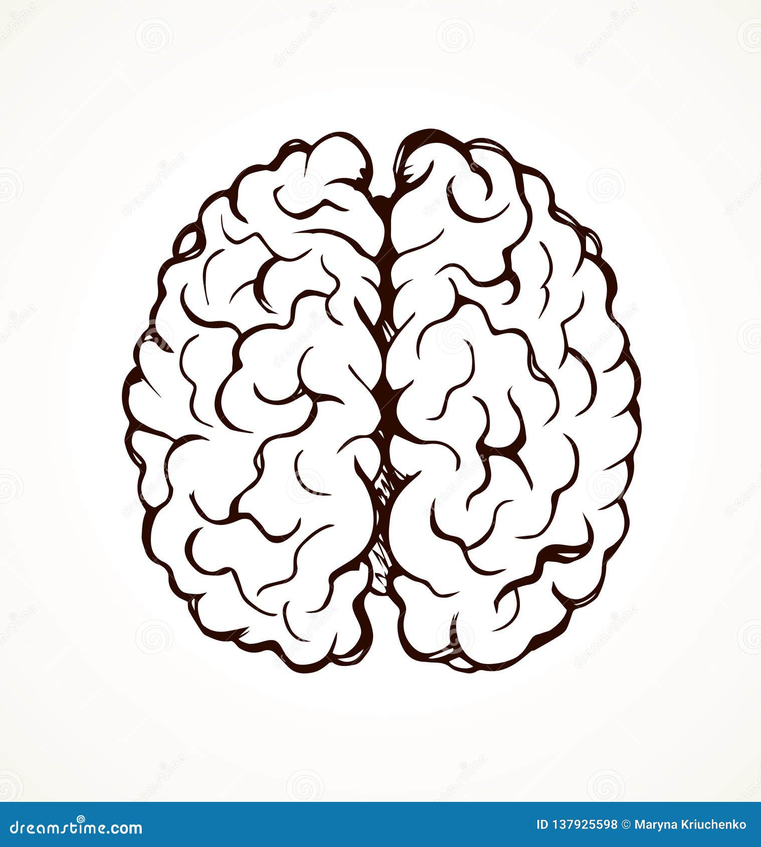 Cerebro Desenho Do Vetor Ilustracao Do Vetor Ilustracao De Vetor 137925598