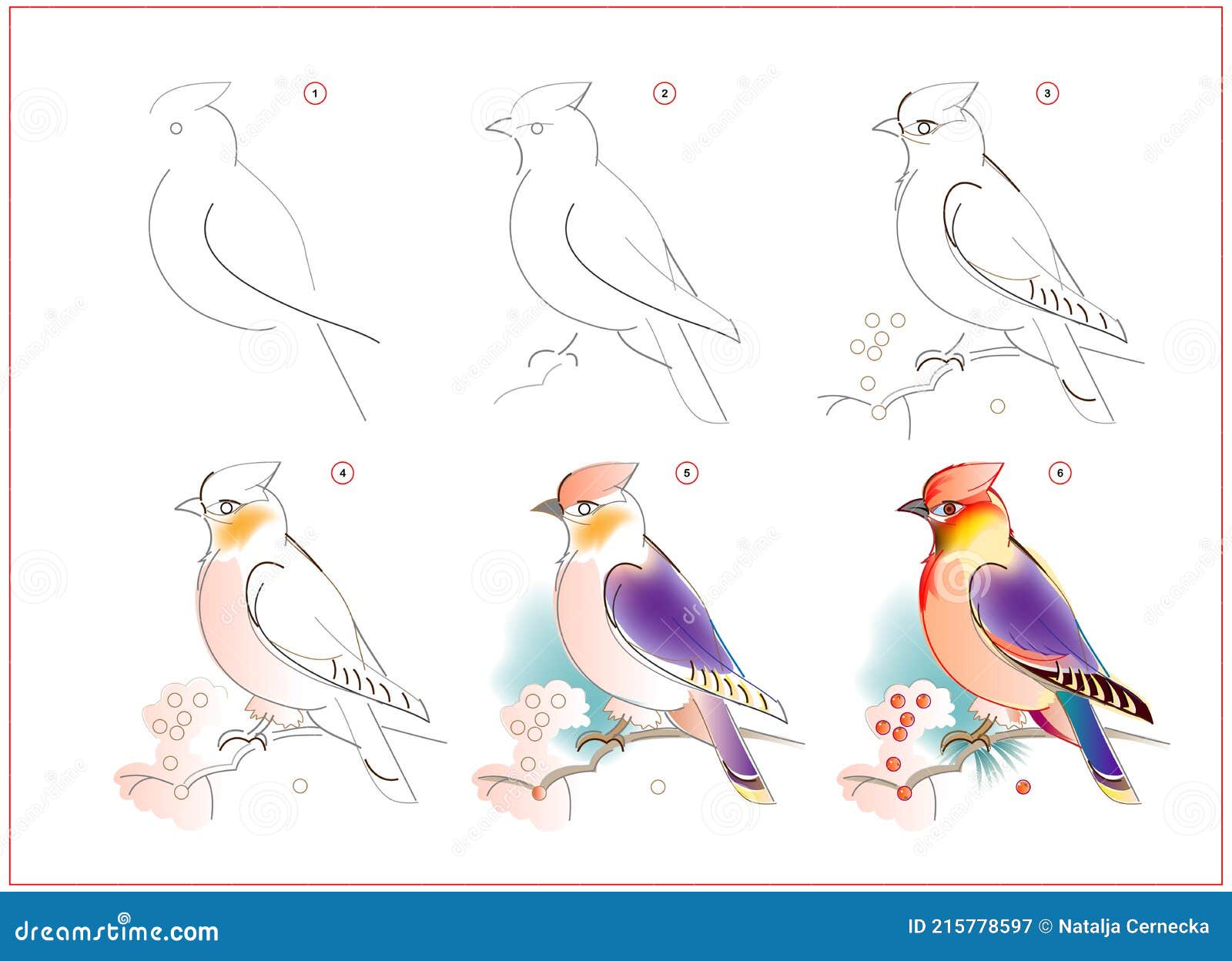 Cómo Aprender a Dibujar Boceto De Pájaro De Ala De Cera. Creación Paso a Paso Acuarela Pintura. Página Educativa Para Artistas. Li Ilustración del Vector - Ilustración de habilidad, realista: 215778597 Cómo Aprender a Dibujar Boceto De Pájaro De Ala De Cera. Creación Paso a Paso Acuarela Pintura. Página Educativa Para Artistas. Li Ilustración del Vector - Ilustración de habilidad, realista: 215778597