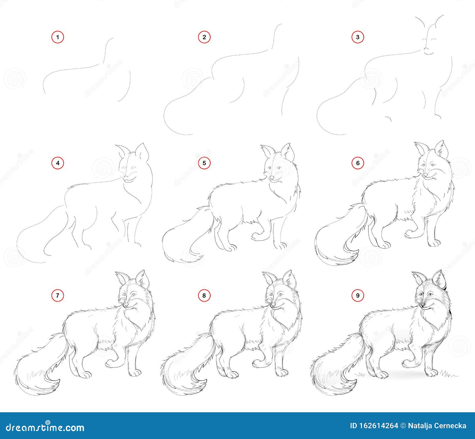 Cómo Dibujar De La Naturaleza Paso a Paso Boceto De Zorro Lindo Creación De Planos De Lápiz Paso a Paso Página Educativa De Artis Ilustración del Vector - Ilustración de drenaje, habilidades: Cómo Dibujar De La Naturaleza Paso a Paso Boceto De Zorro Lindo Creación De Planos De Lápiz Paso a Paso Página Educativa De Artis Ilustración del Vector - Ilustración de drenaje, habilidades: