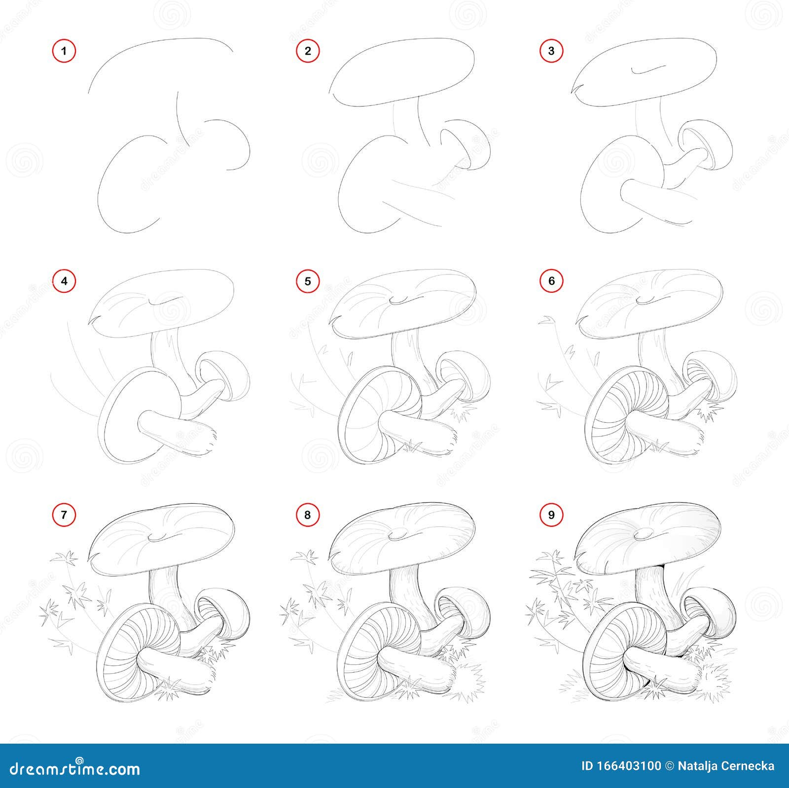 Cómo Dibujar a Partir De Bocetos Naturales De Hongos Grupales Creación, Paso a Paso, Del Dibujo De Lápiz Página Educativa De Arti Ilustración del Vector - Ilustración de drenaje, seta: 166403100 Cómo Dibujar a Partir De Bocetos Naturales De Hongos Grupales Creación, Paso a Paso, Del Dibujo De Lápiz Página Educativa De Arti Ilustración del Vector - Ilustración de drenaje, seta: 166403100