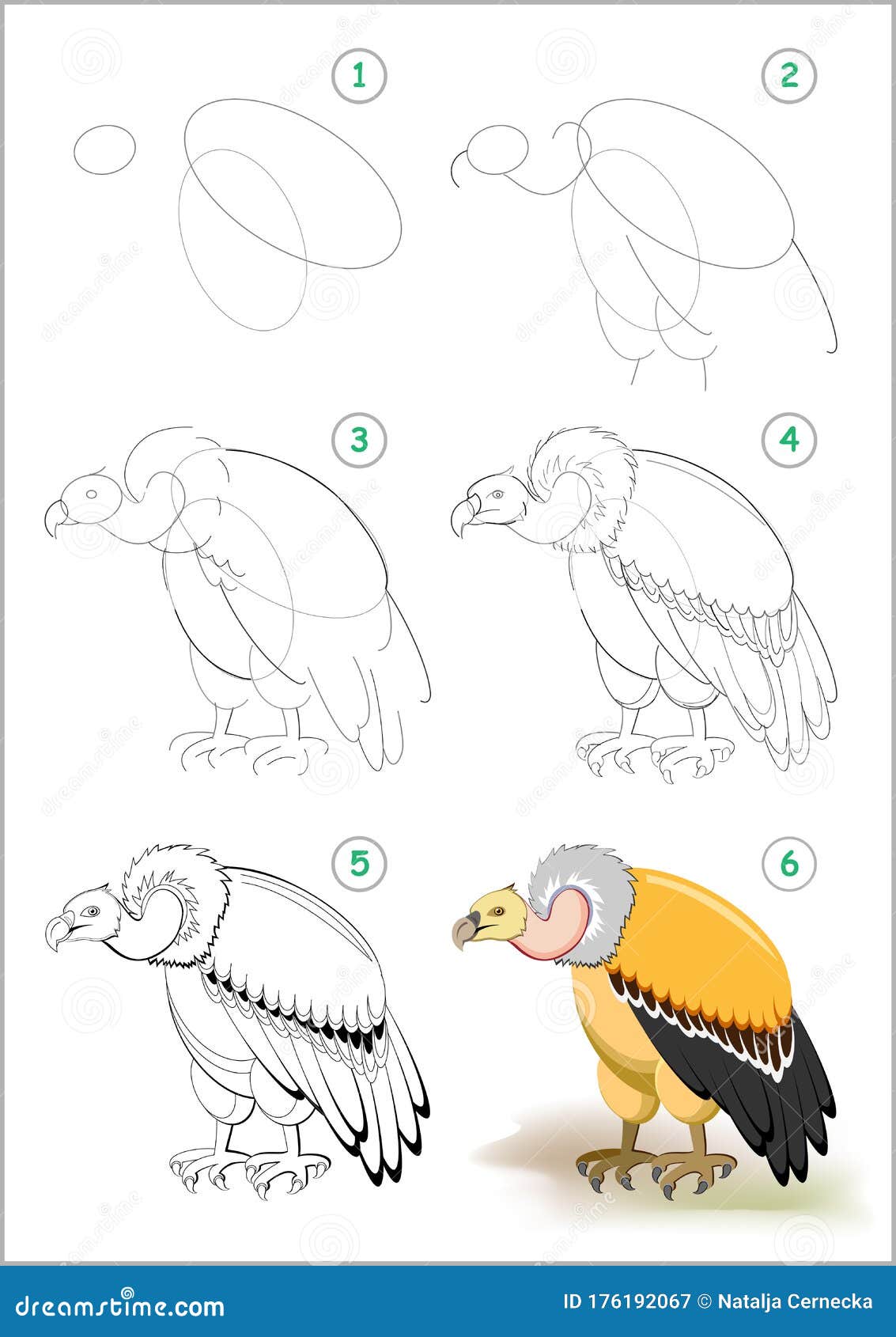 Cómo Dibujar Paso a Paso Buitre Predatorio. Página Educativa Para Niños. Volver a La Escuela. Desarrollo De Habilidades Para Niños Ilustración del Vector - Ilustración de imagen, negro: 176192067 Cómo Dibujar Paso a Paso Buitre Predatorio. Página Educativa Para Niños. Volver a La Escuela. Desarrollo De Habilidades Para Niños Ilustración del Vector - Ilustración de imagen, negro: 176192067