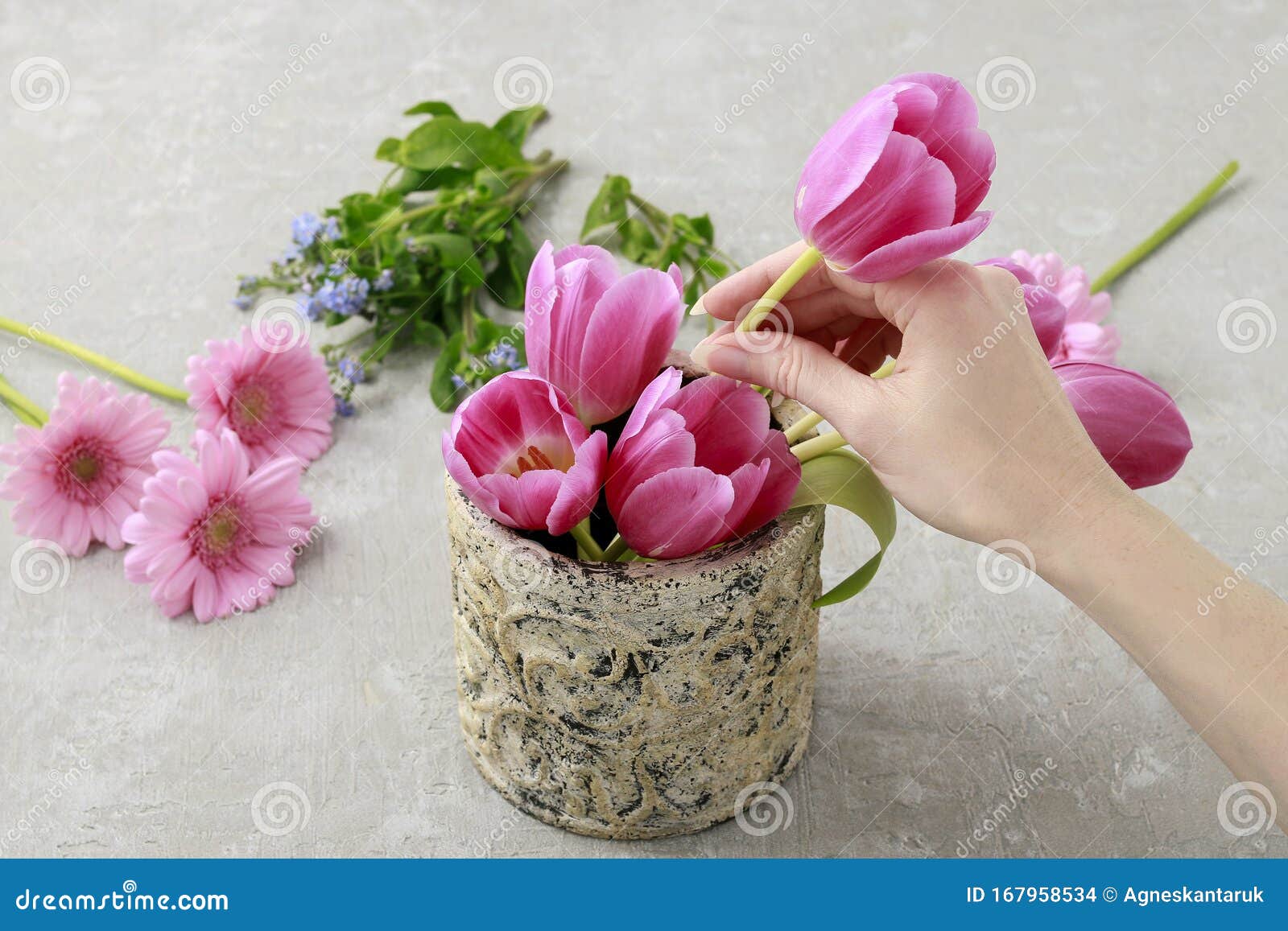 Cómo Hacer Un Arreglo Floral Con Tulipán Rosa Y Flores Gerberas Foto de  archivo - Imagen de sensaciones, abuelos: 167958534