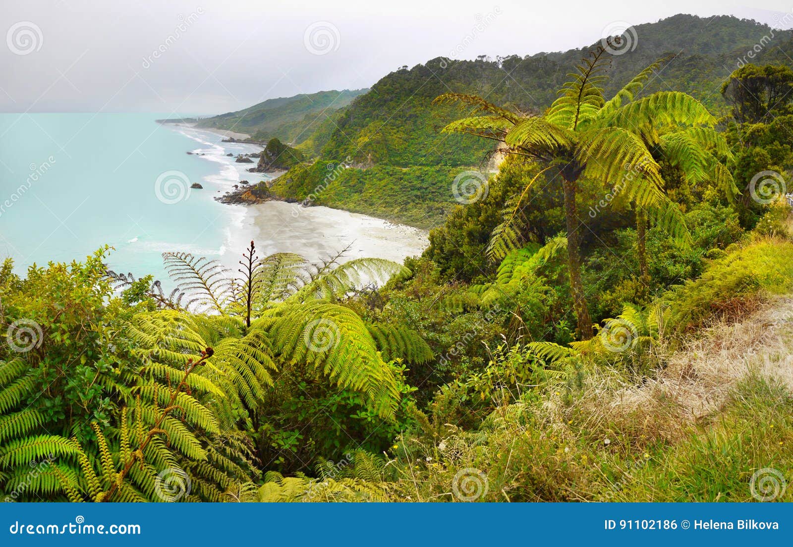 Cote Ouest Ile Du Sud Paysage Nouvelle Zelande Photo Stock Image Du Roches Littoral Cote Ouest Ile Du Sud Paysage Nouvelle Zelande Photo Stock Image Du Roches Littoral
