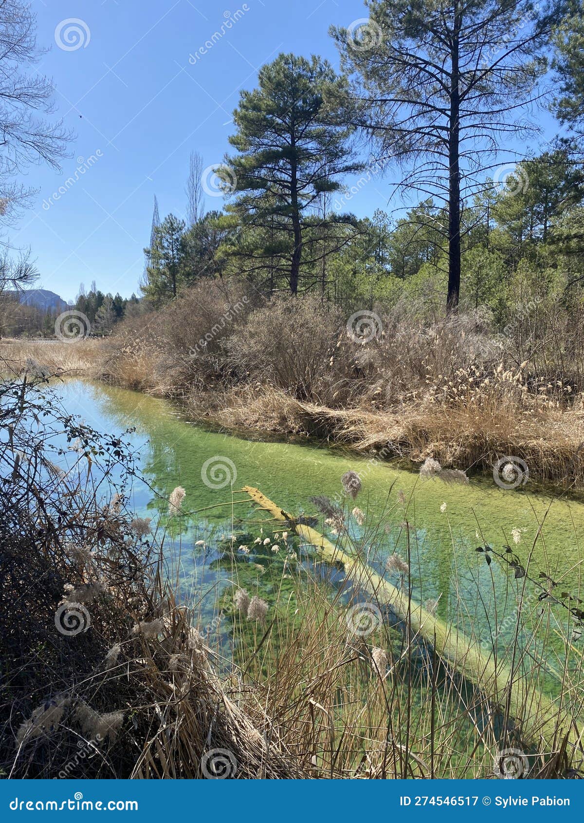 caÃ±amares beach on the caÃ±amares river in the province of guadalajara i