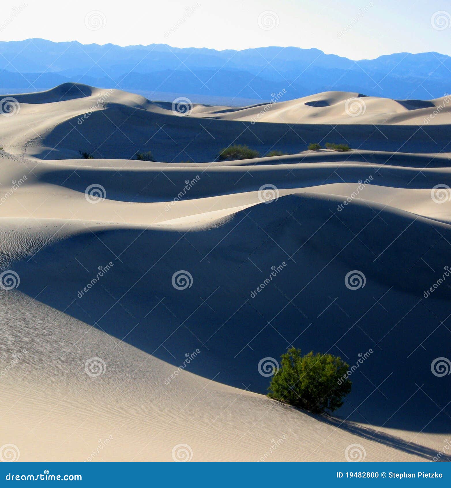 Ca-döddynen np sand dalen. Dal för USA för sand för nationalpark för Kalifornien döddyner