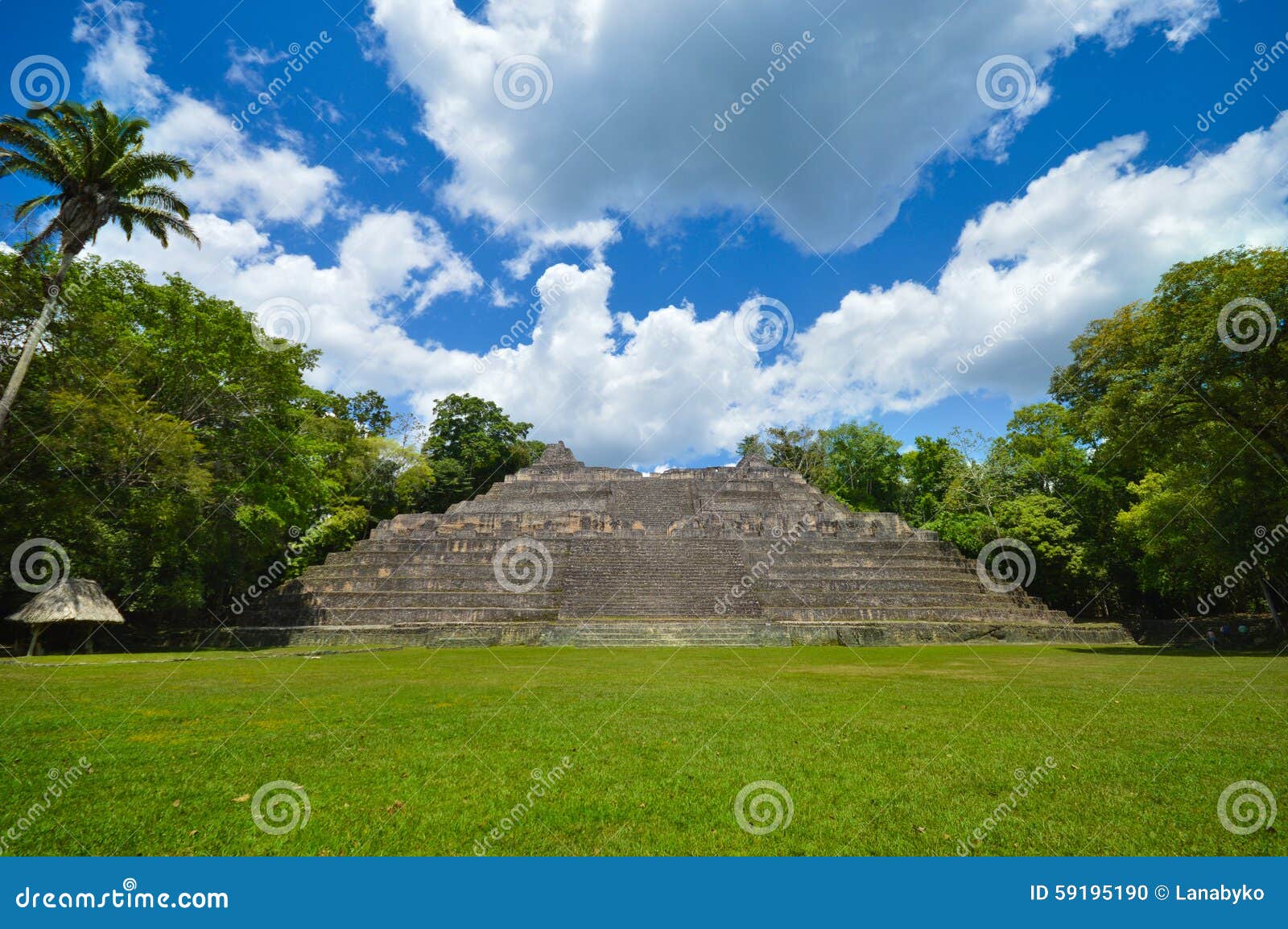 caana pyramid at caracol archeological site of mayan civilization in western belize